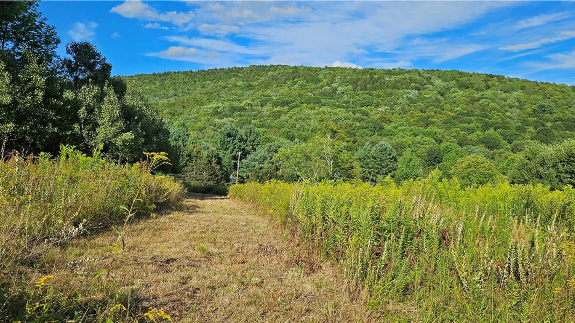 Property at Shaver Hollow, Andes, NY 13731 3