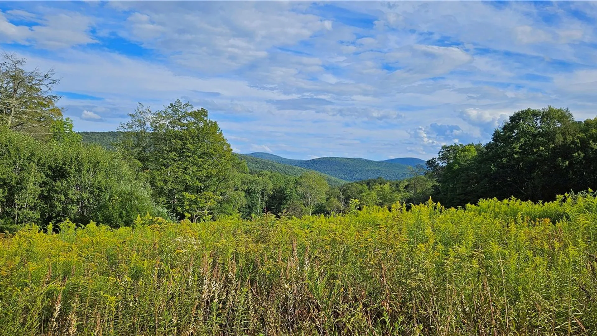 Property at Shaver Hollow, Andes, NY 13731 4