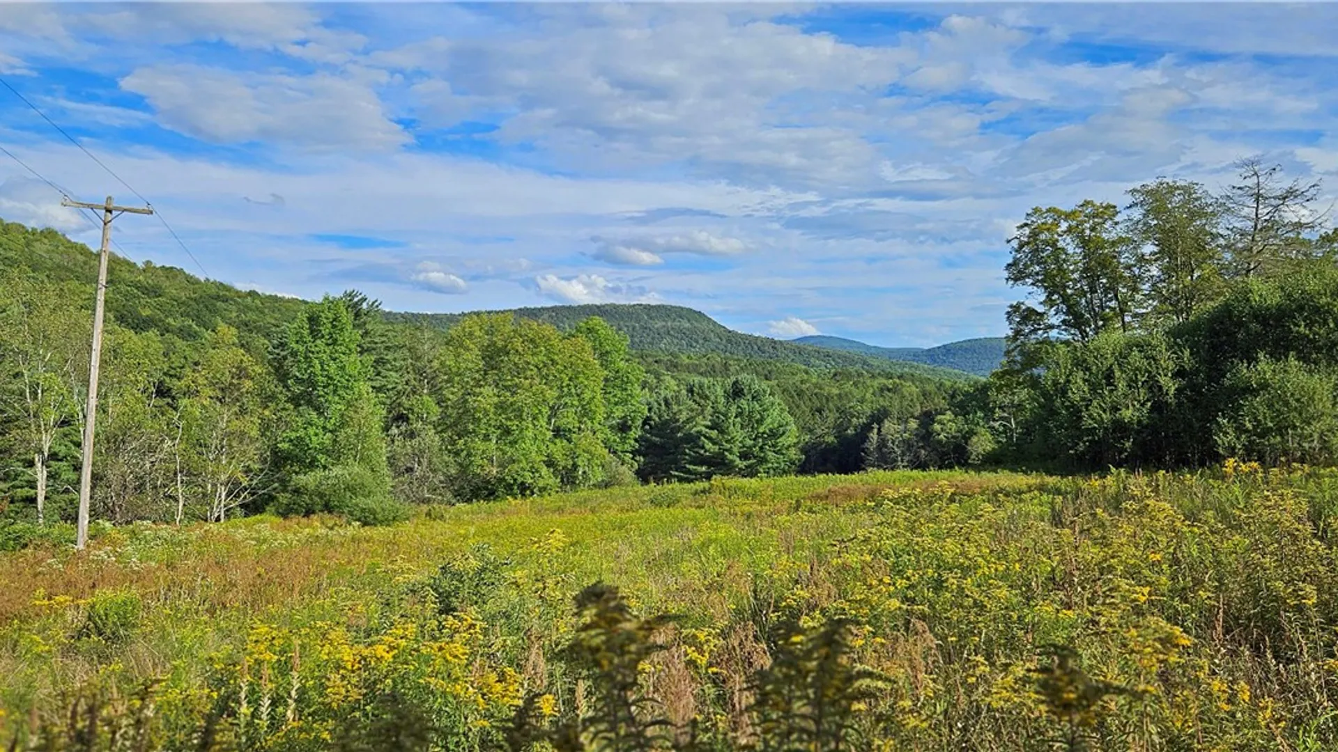 Property at Shaver Hollow, Andes, NY 13731 5