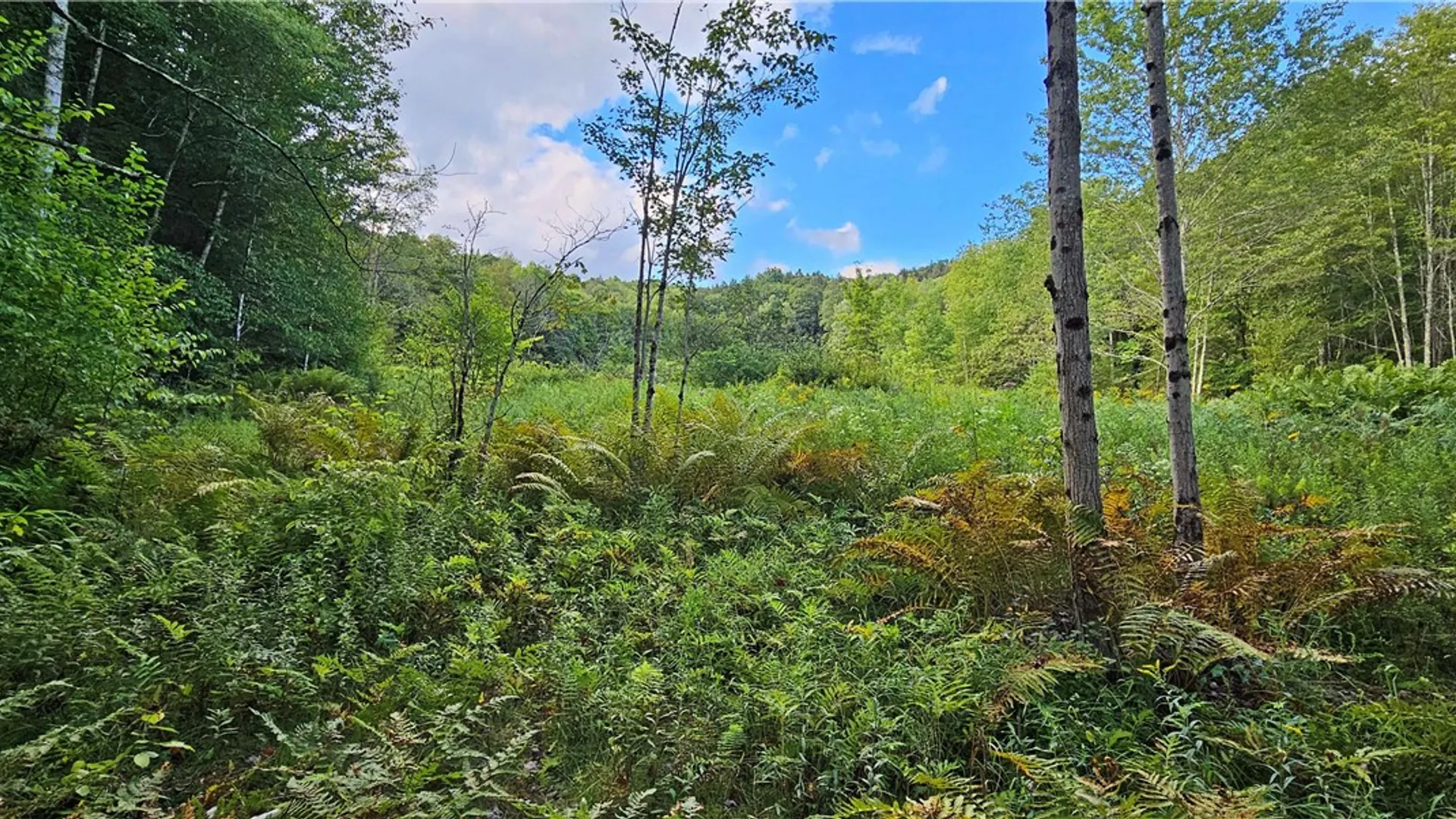 Property at Shaver Hollow, Andes, NY 13731 8