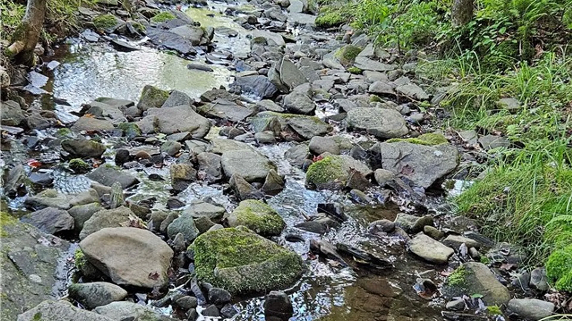 Property at Shaver Hollow, Andes, NY 13731 9