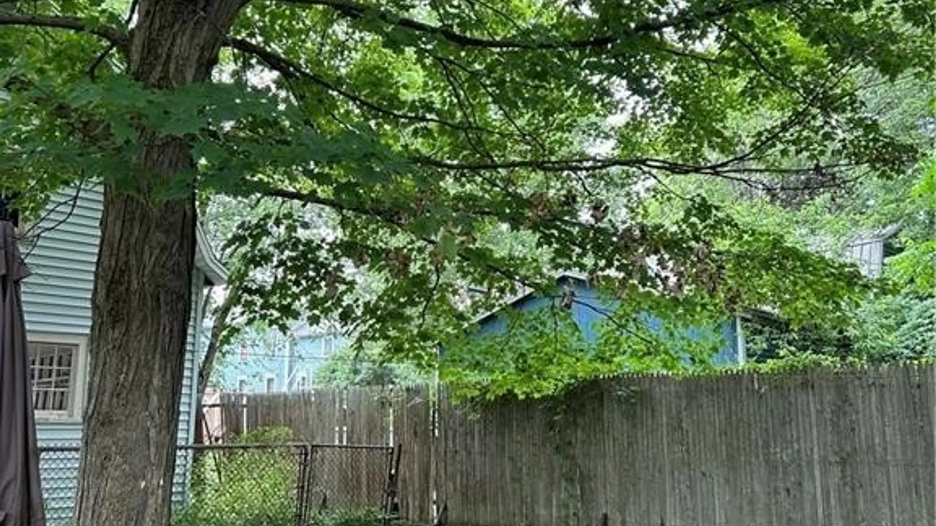 Property at 23 Church Street, Franklinville, NY 14737 15