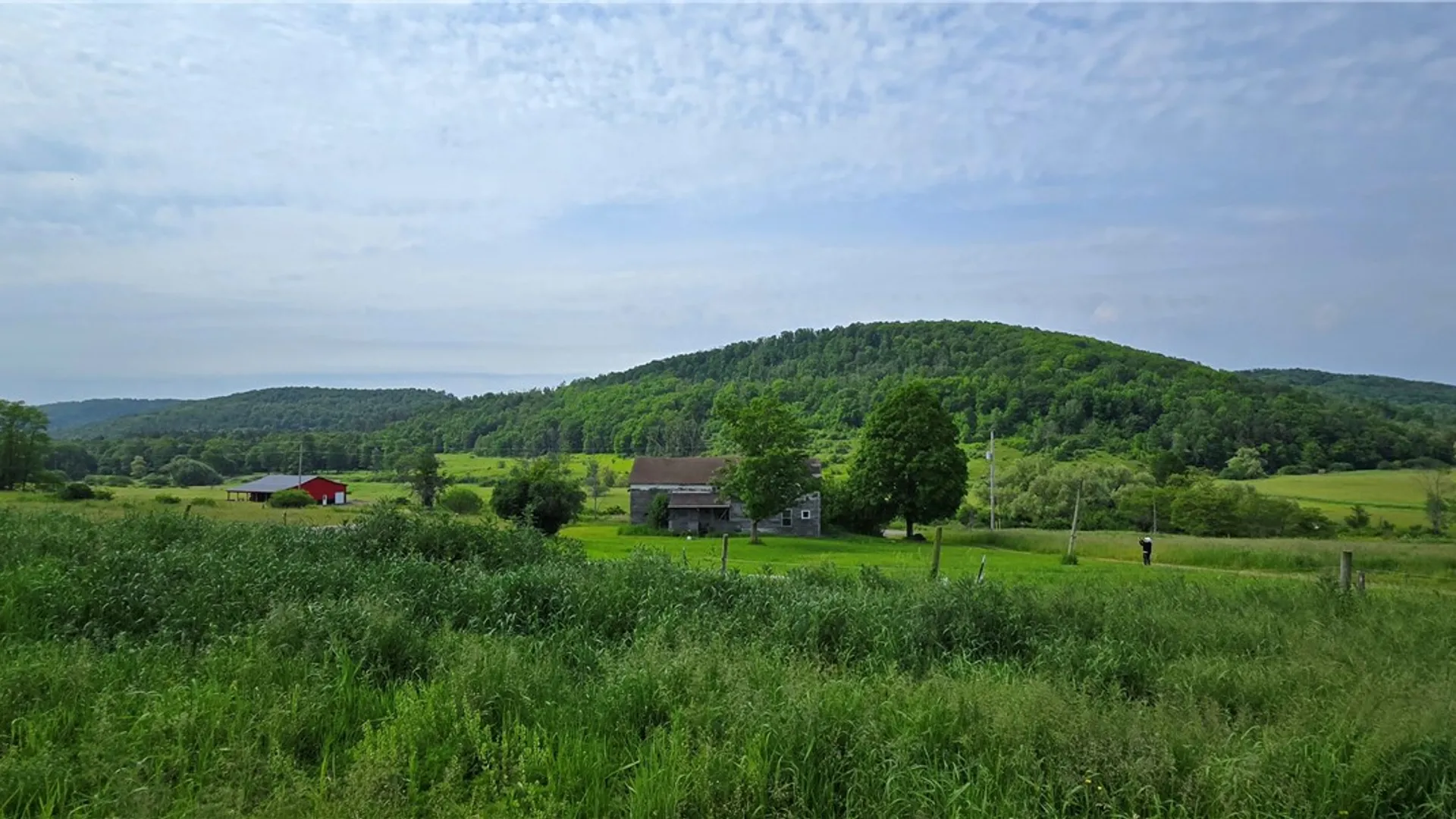Property at 2413 County Route 117, Troupsburg, NY 14885 11