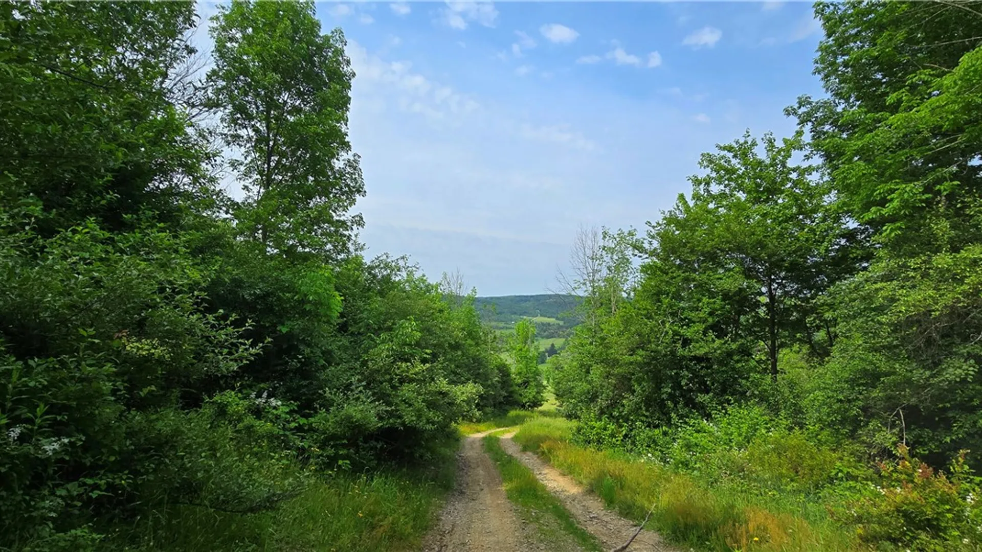 Property at 2413 County Route 117, Troupsburg, NY 14885 36