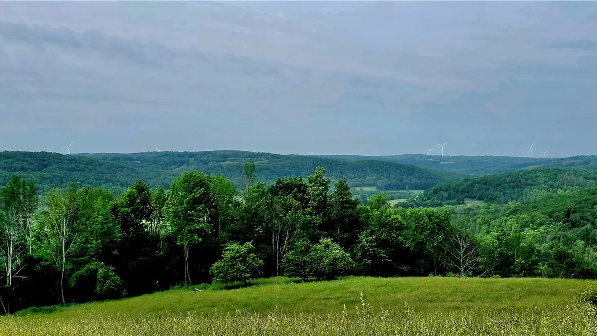 Property at 2413 County Route 117, Troupsburg, NY 14885 37