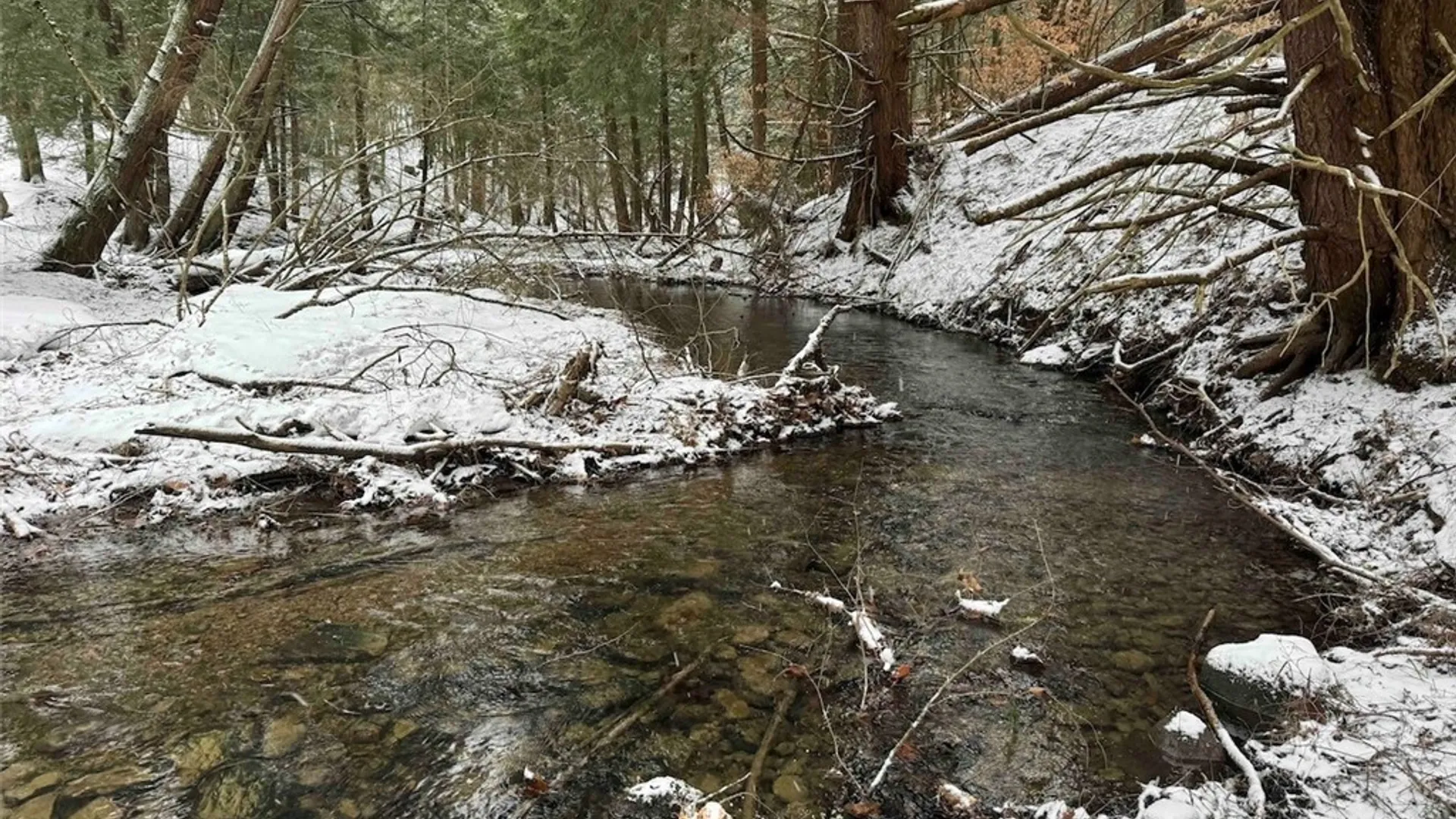 Property at 10020 Mclaughlin Road, Machias, NY 14171 37