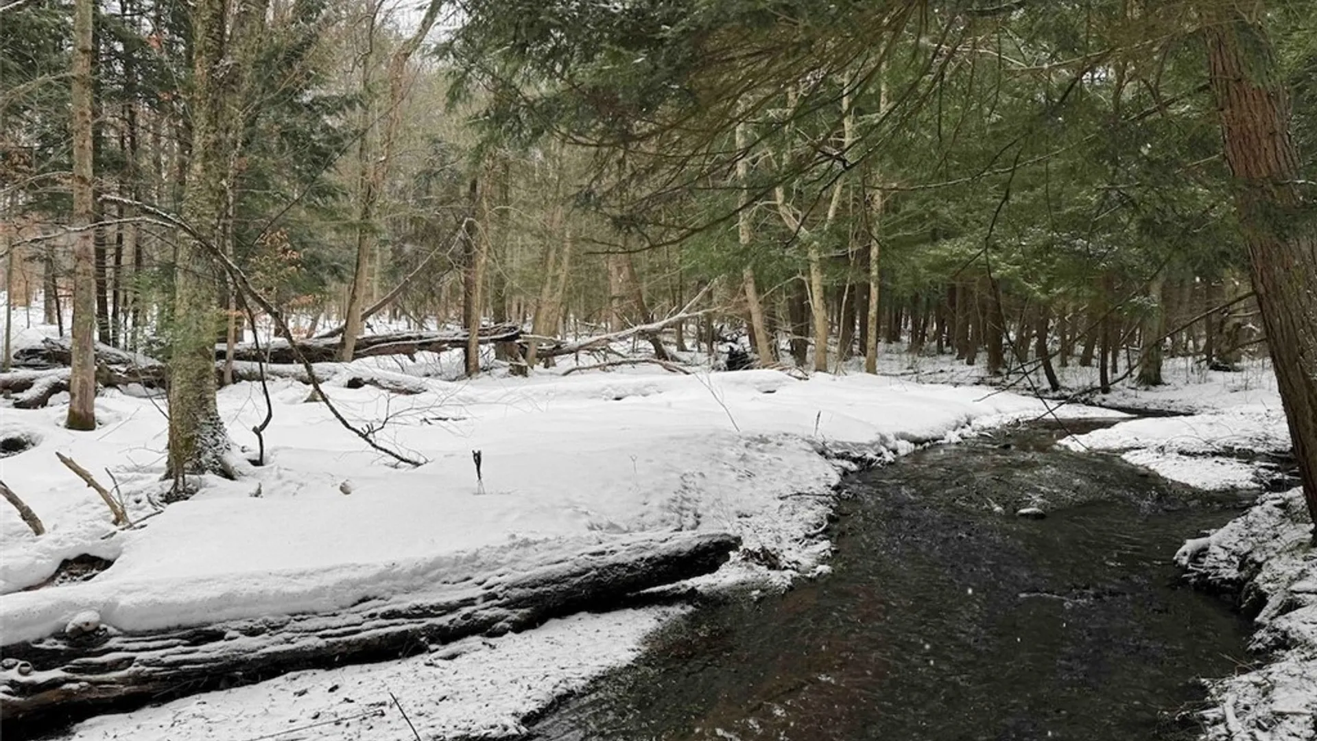 Property at 10020 Mclaughlin Road, Machias, NY 14171 39