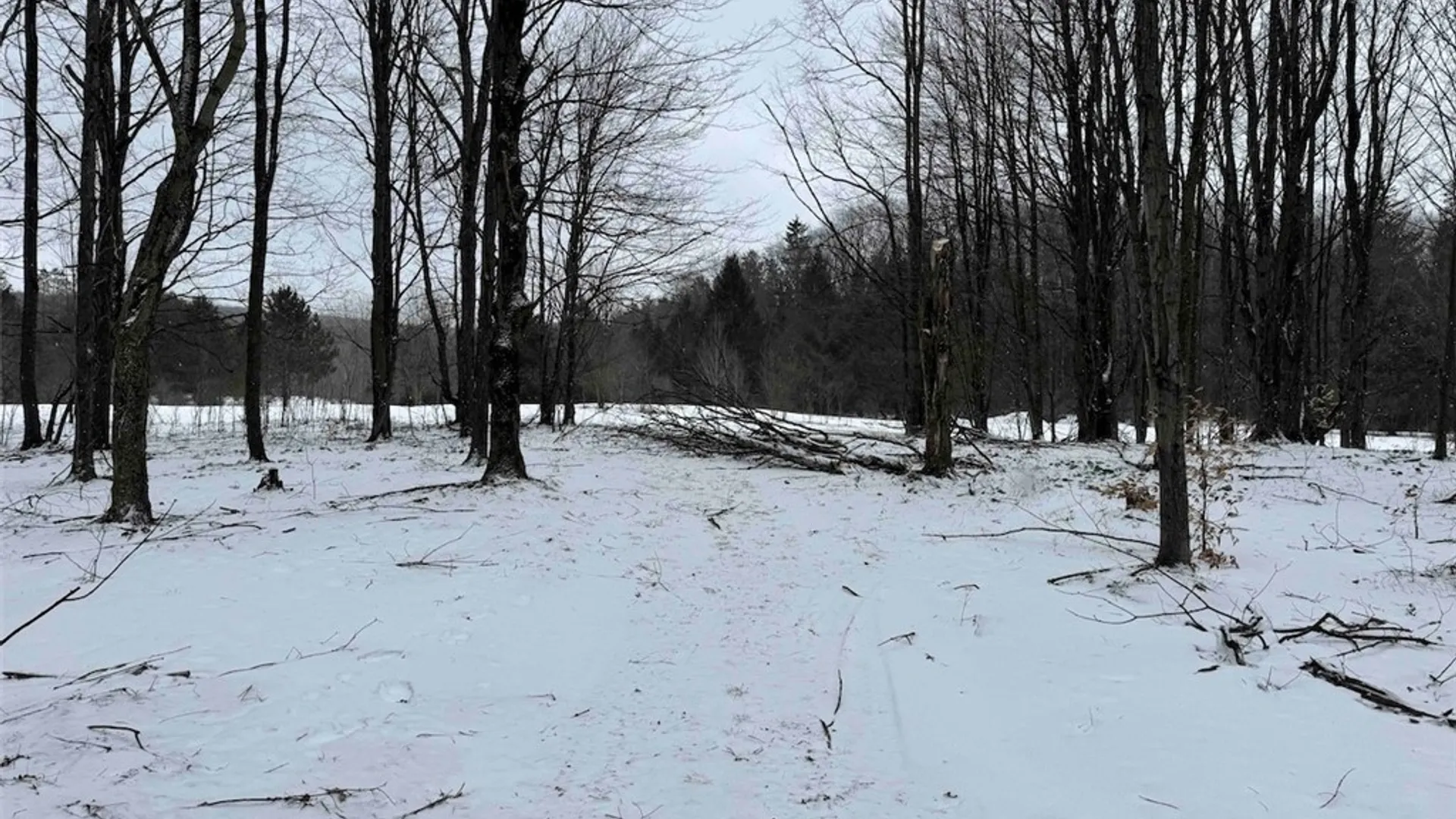 Property at 10020 Mclaughlin Road, Machias, NY 14171 44