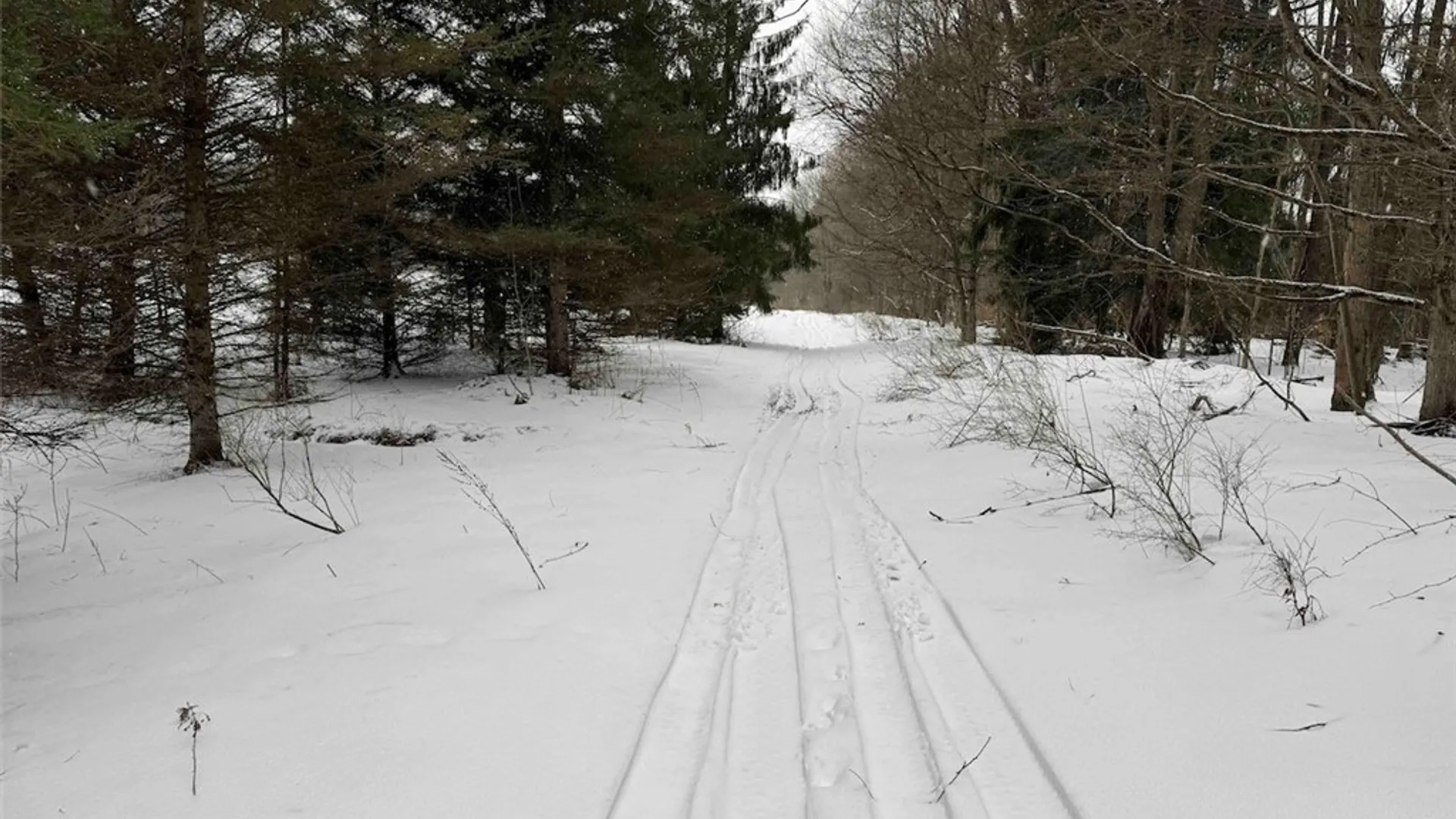 Property at 10020 Mclaughlin Road, Machias, NY 14171 45
