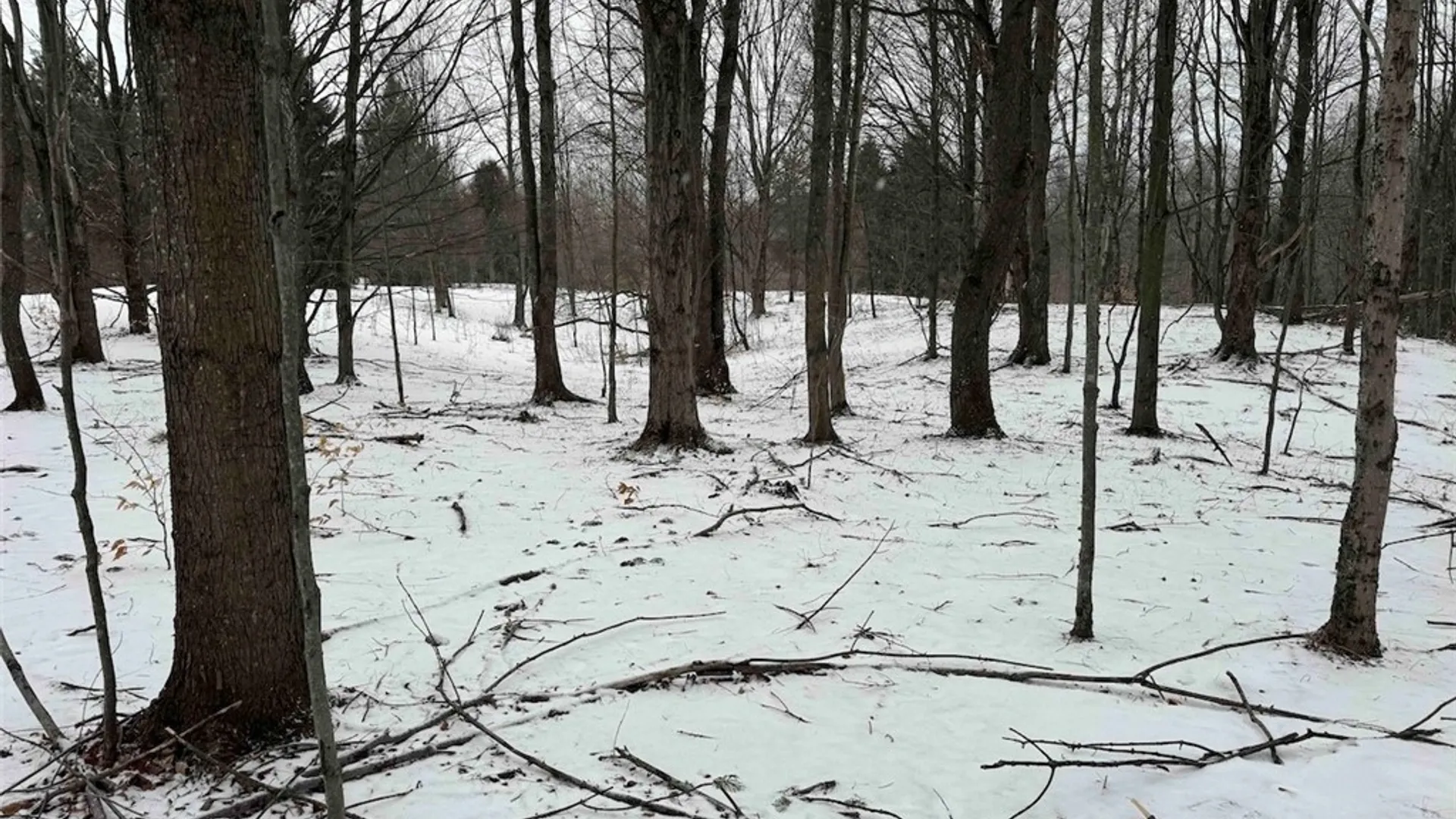 Property at 10020 Mclaughlin Road, Machias, NY 14171 46