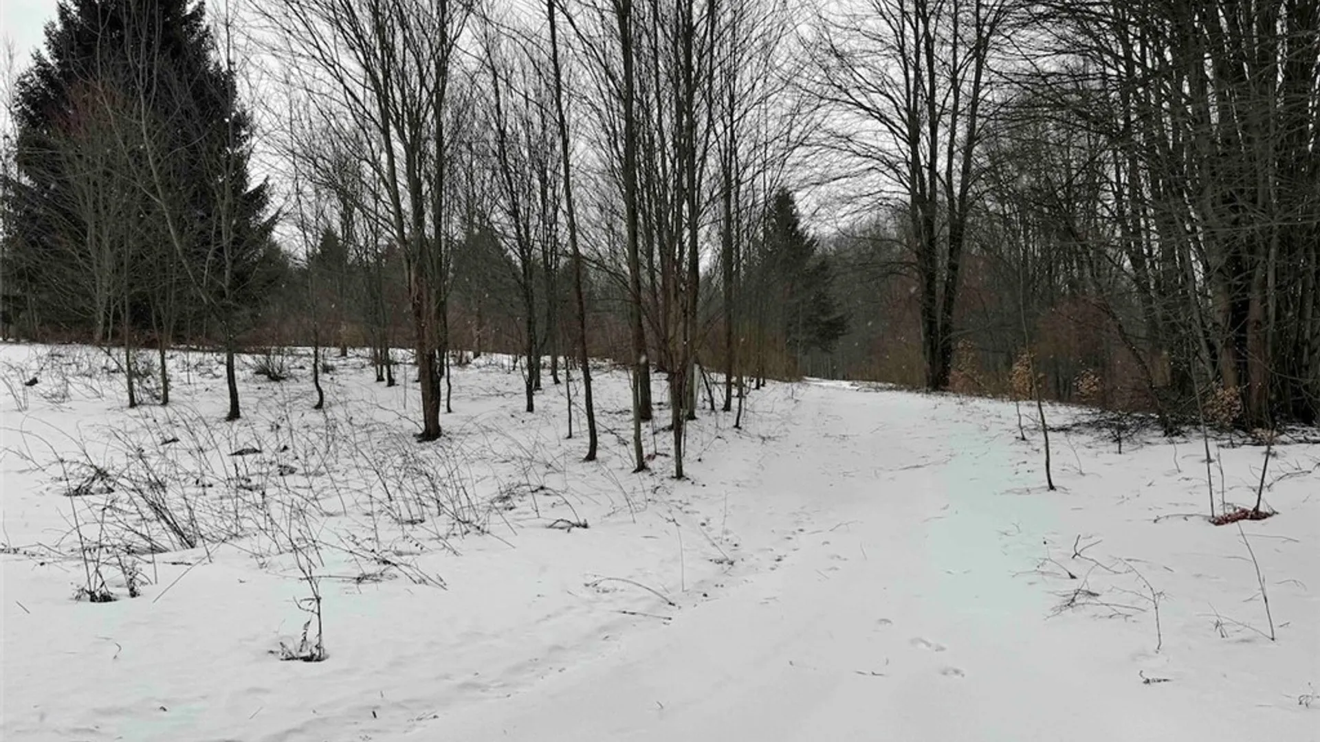 Property at 10020 Mclaughlin Road, Machias, NY 14171 48