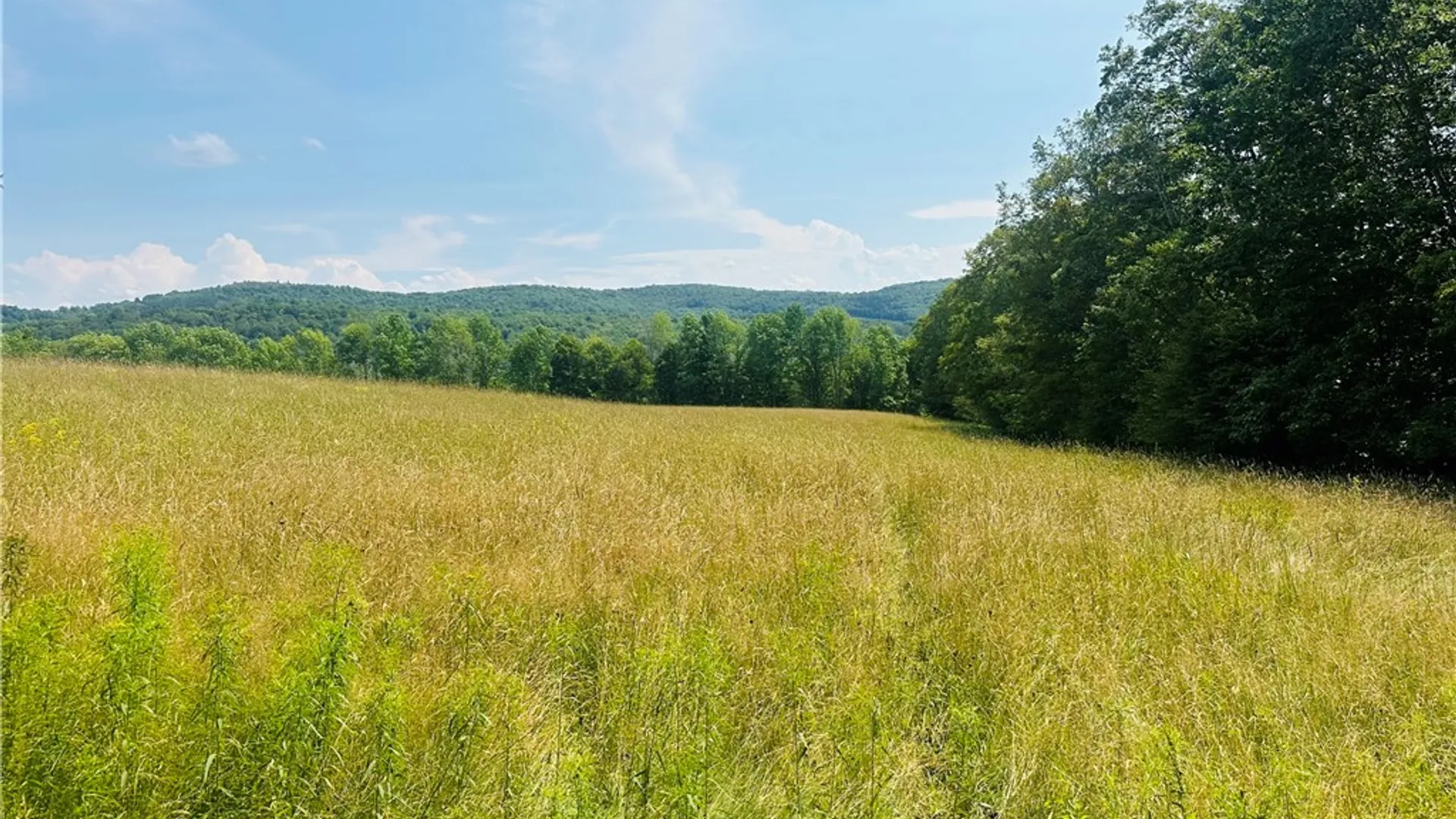 Property at 1947 Herrick Hollow Road, Tompkins, NY 13804 3