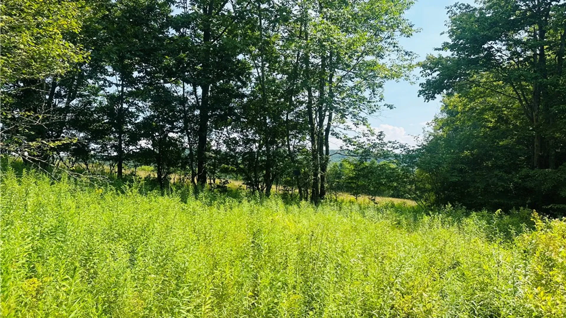 Property at 1947 Herrick Hollow Road, Tompkins, NY 13804 4