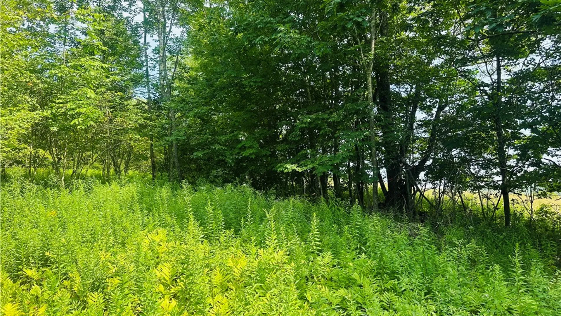 Property at 1947 Herrick Hollow Road, Tompkins, NY 13804 6