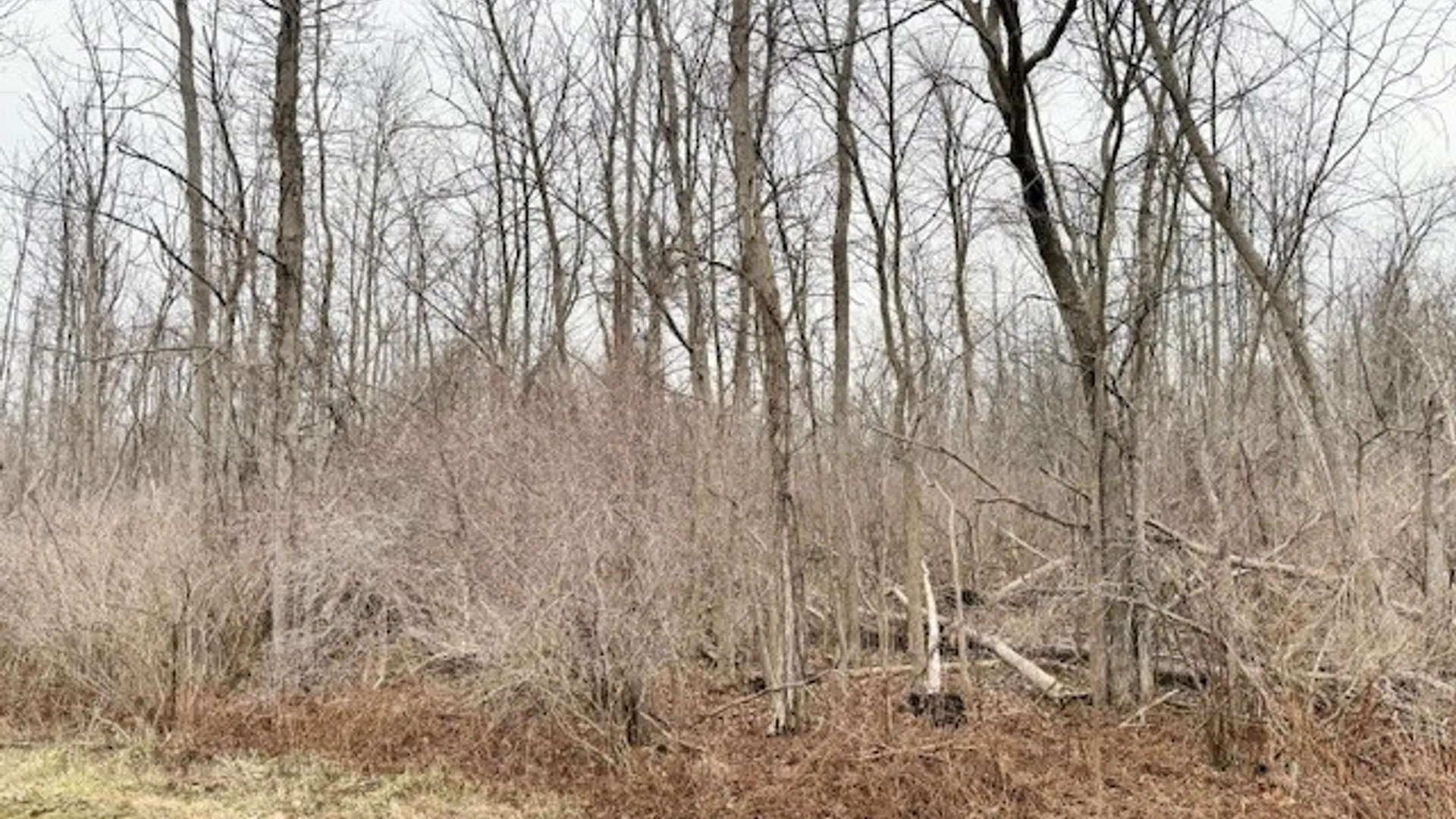 Property at VL Ridge Road, Murray, NY 14477 3