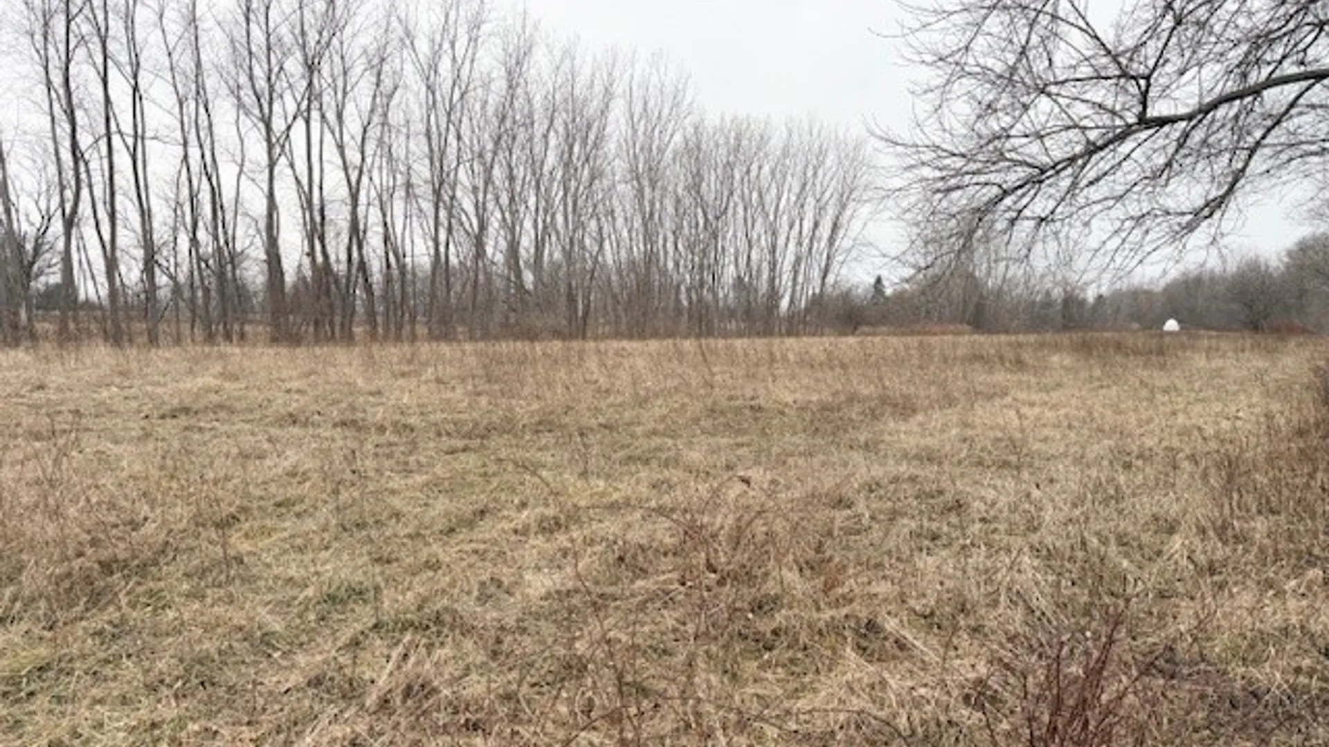 Property at VL Ridge Road, Murray, NY 14477 4