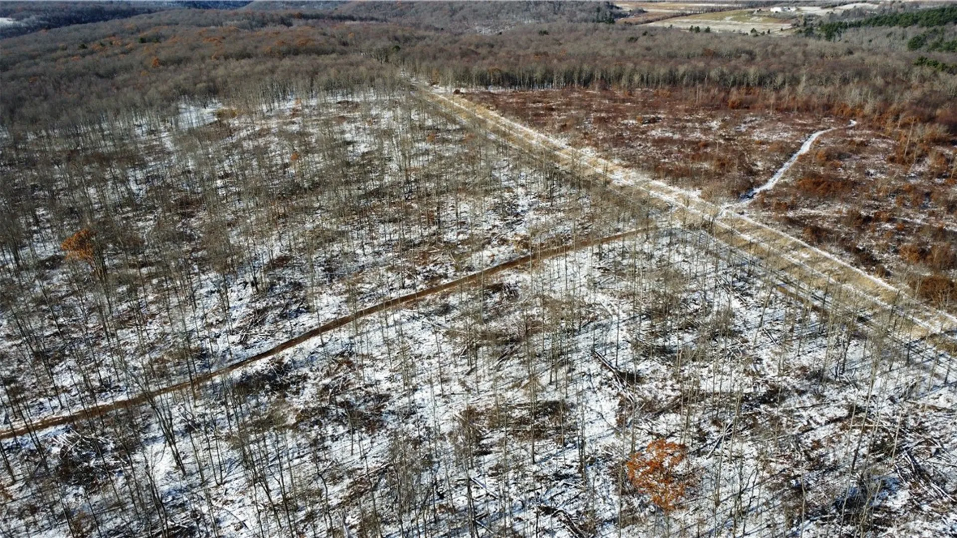 Property at 443 South Branch Rd, Hebron, PA 16915 11