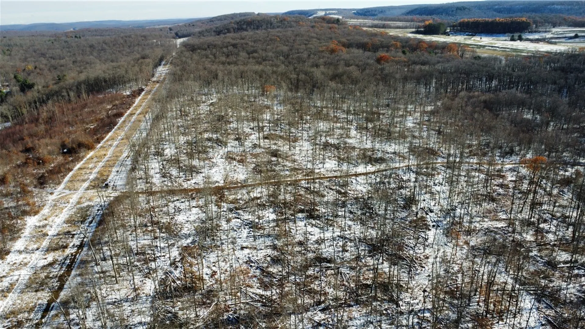 Property at 443 South Branch Rd, Hebron, PA 16915 13