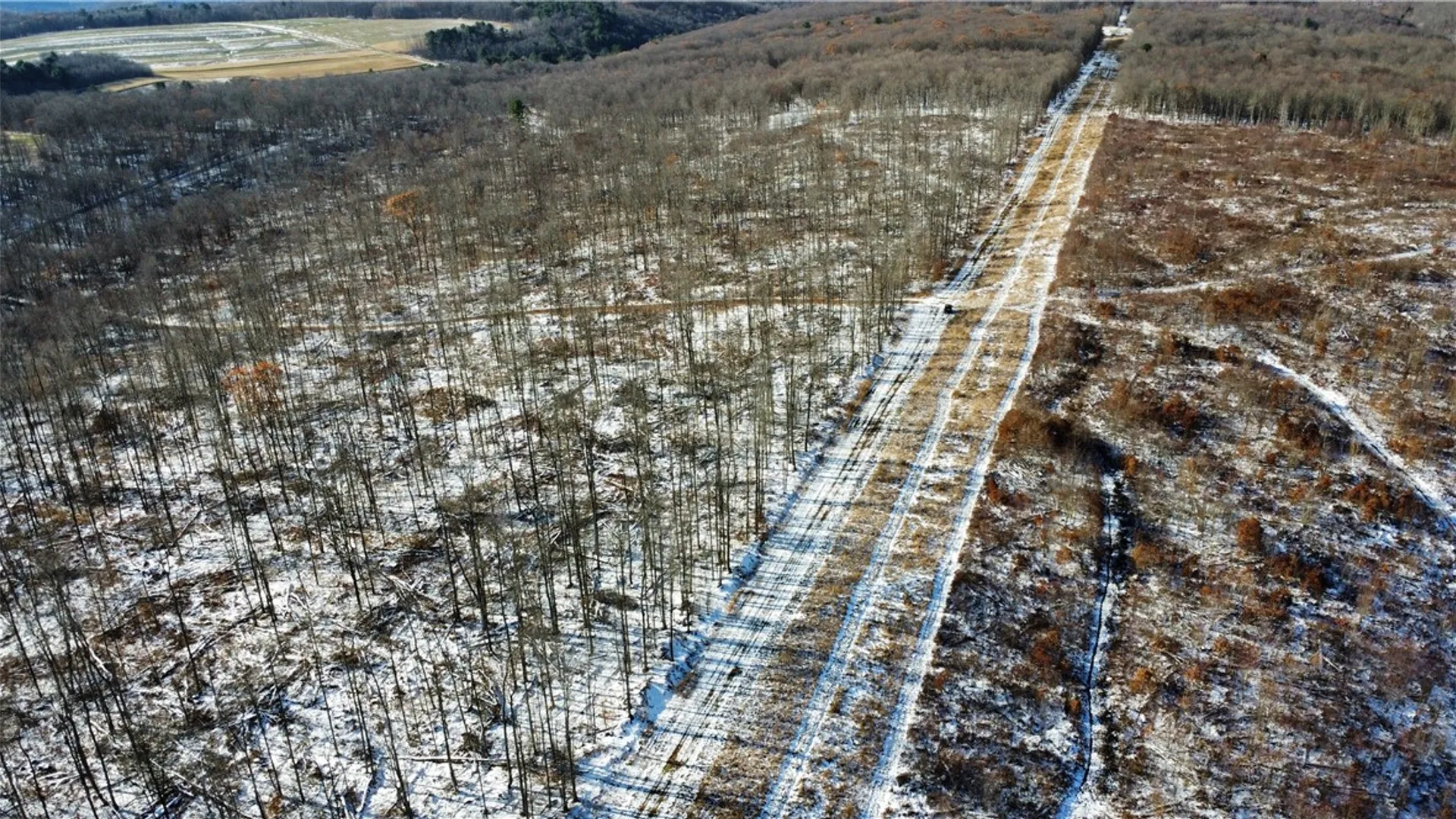 Property at 443 South Branch Rd, Hebron, PA 16915 2