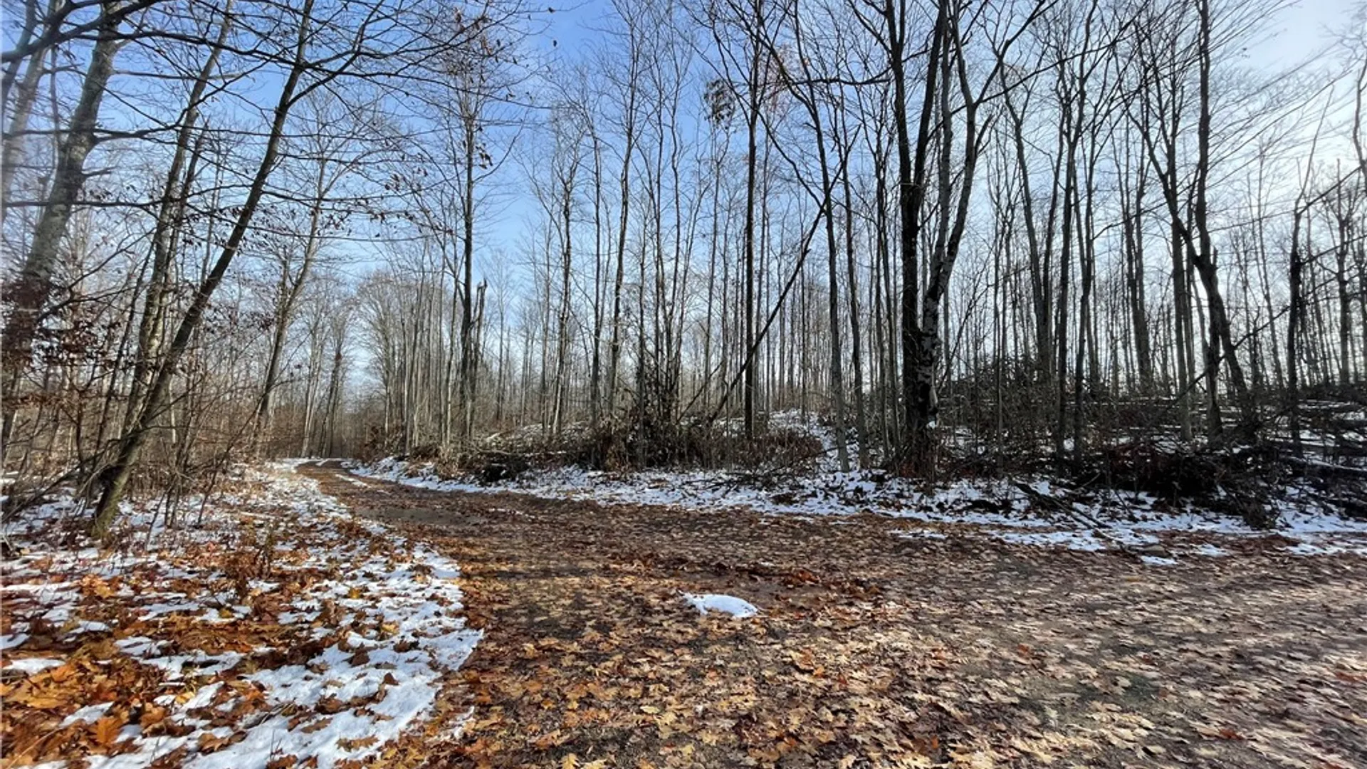 Property at 443 South Branch Rd, Hebron, PA 16915 20