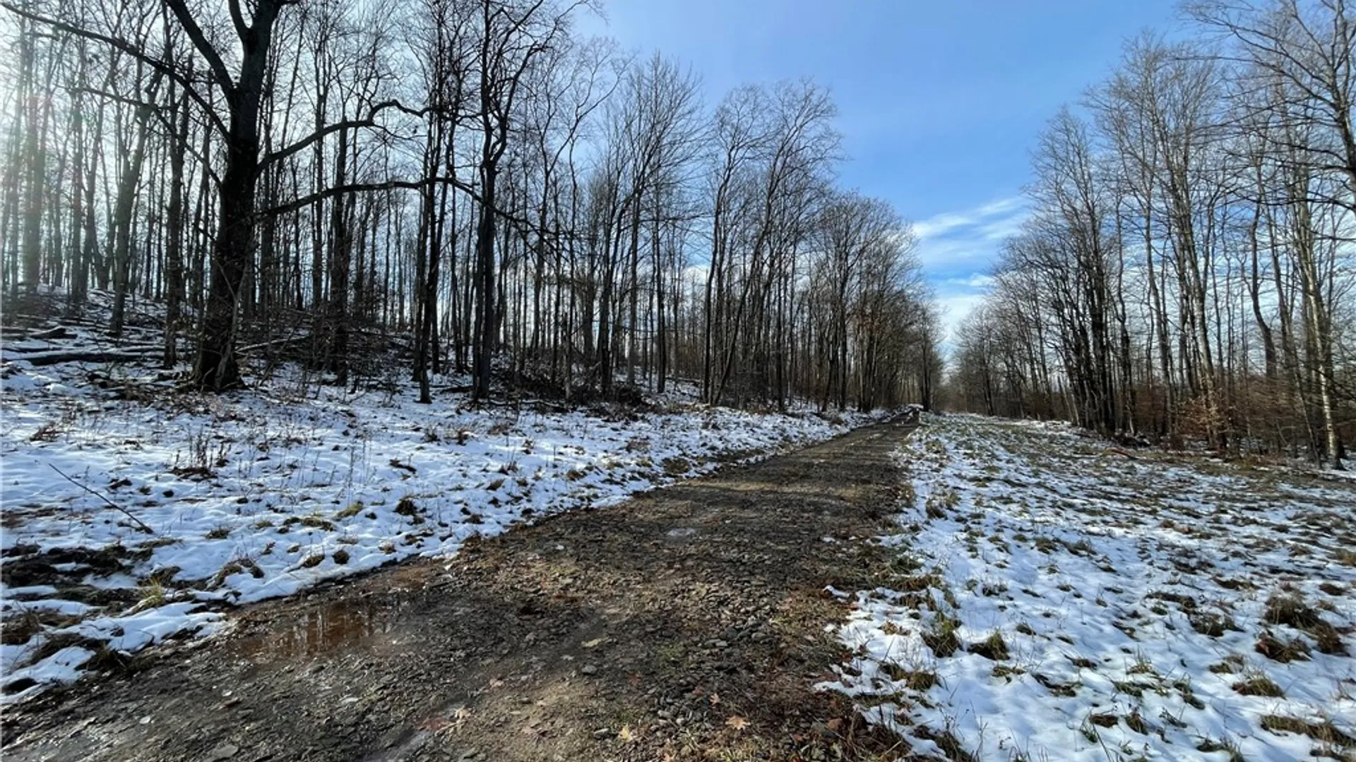 Property at 443 South Branch Rd, Hebron, PA 16915 21