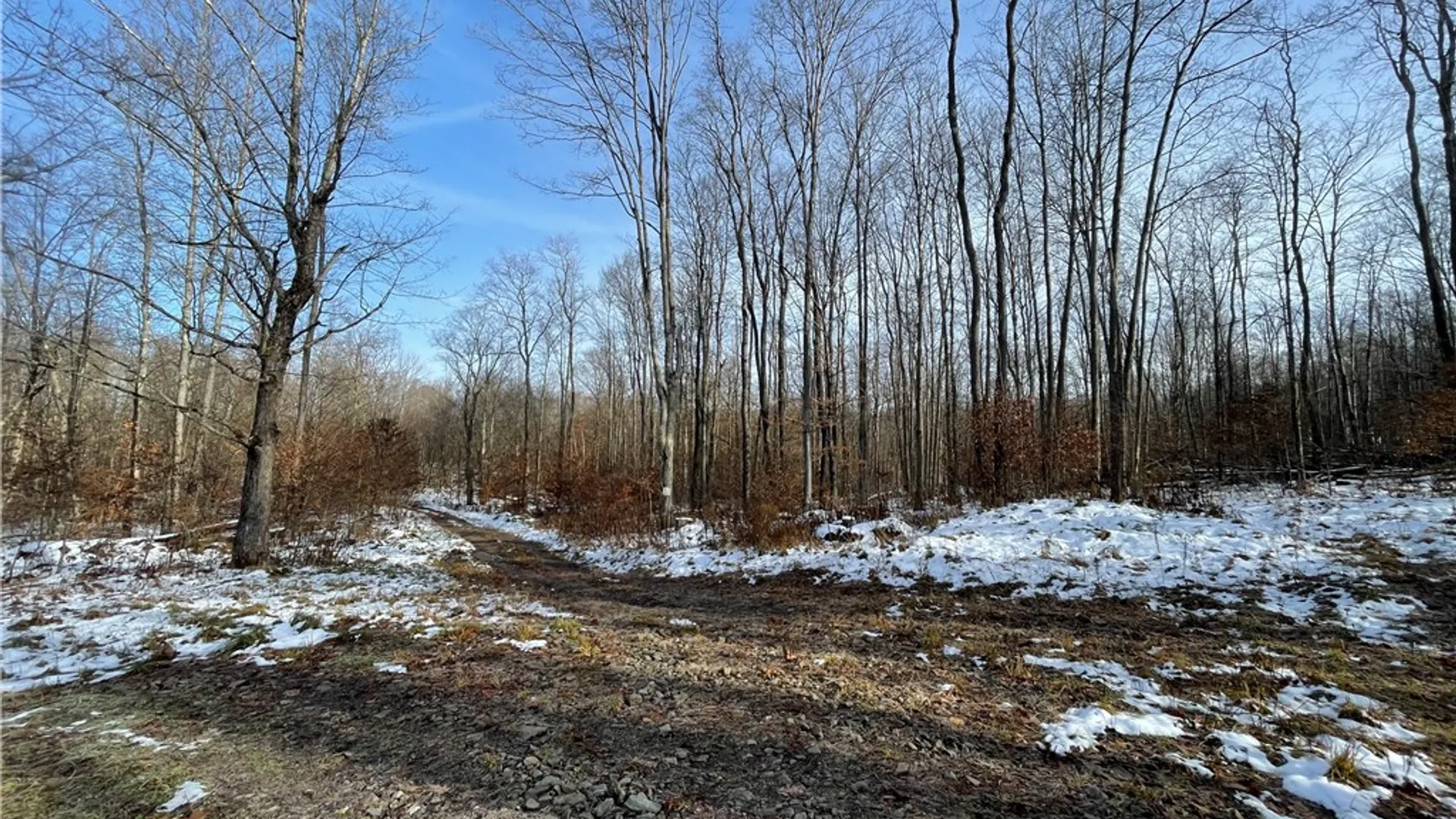 Property at 443 South Branch Rd, Hebron, PA 16915 22