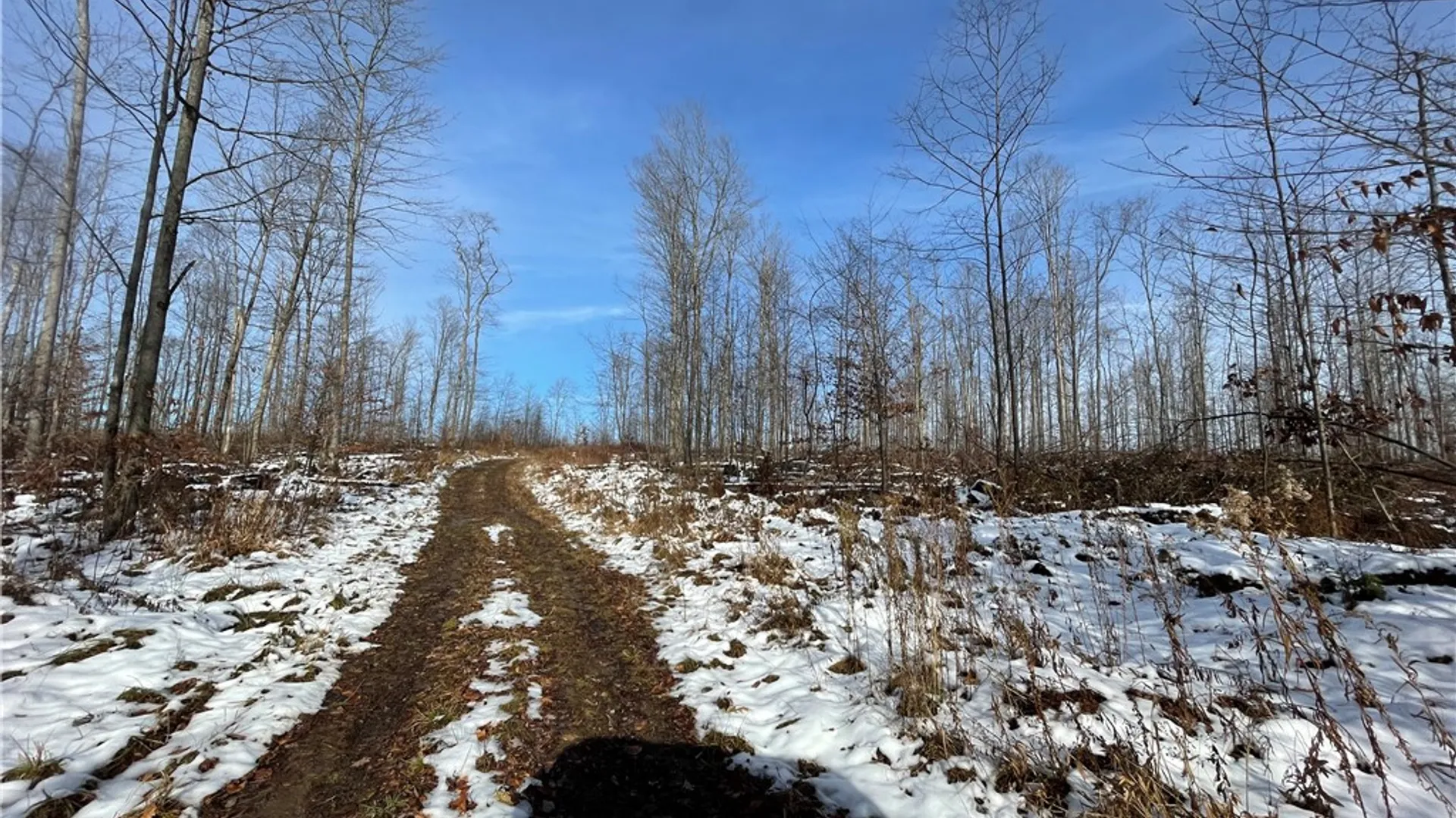 Property at 443 South Branch Rd, Hebron, PA 16915 23