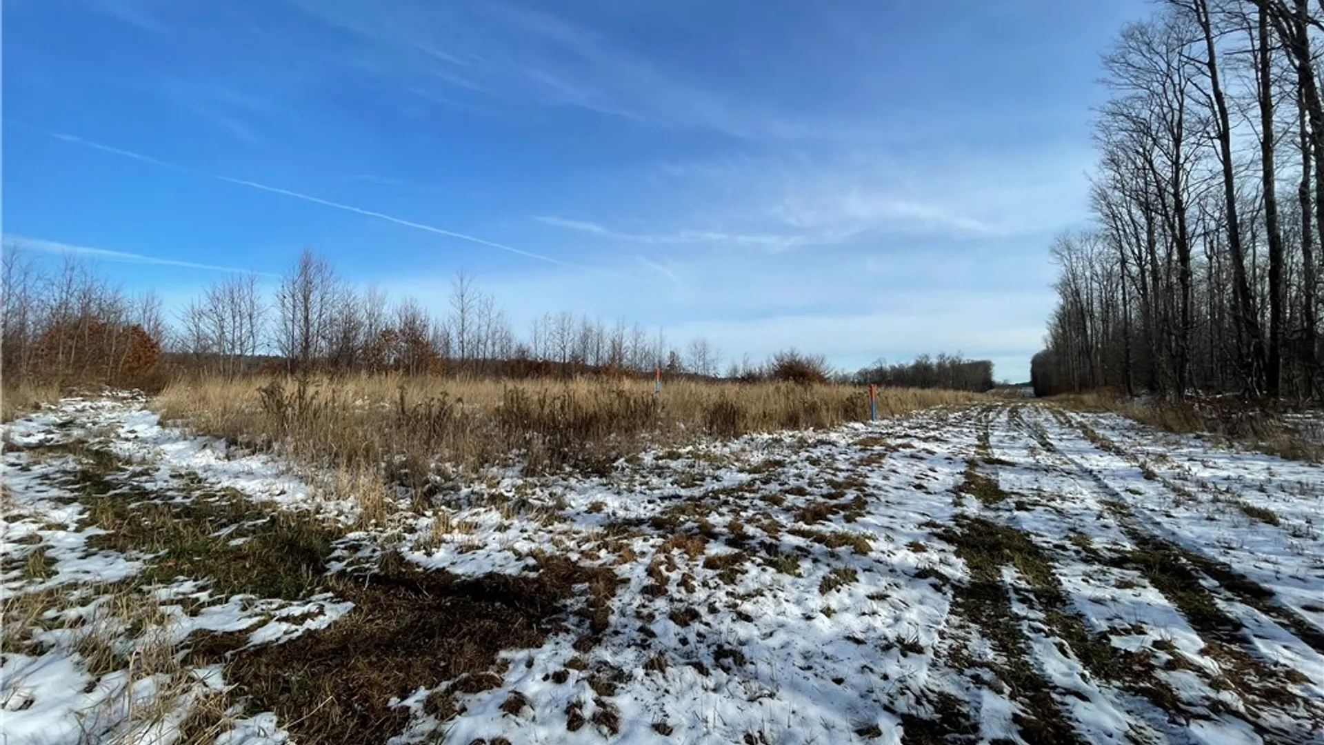 Property at 443 South Branch Rd, Hebron, PA 16915 24