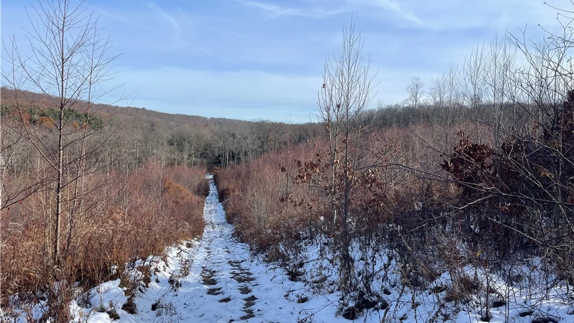 Property at 443 South Branch Rd, Hebron, PA 16915 25