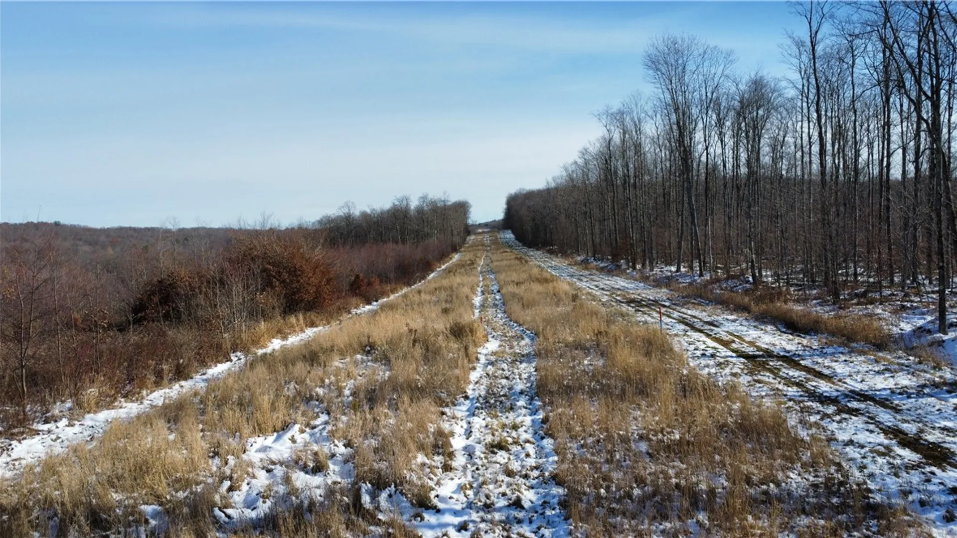 Property at 443 South Branch Rd, Hebron, PA 16915 3