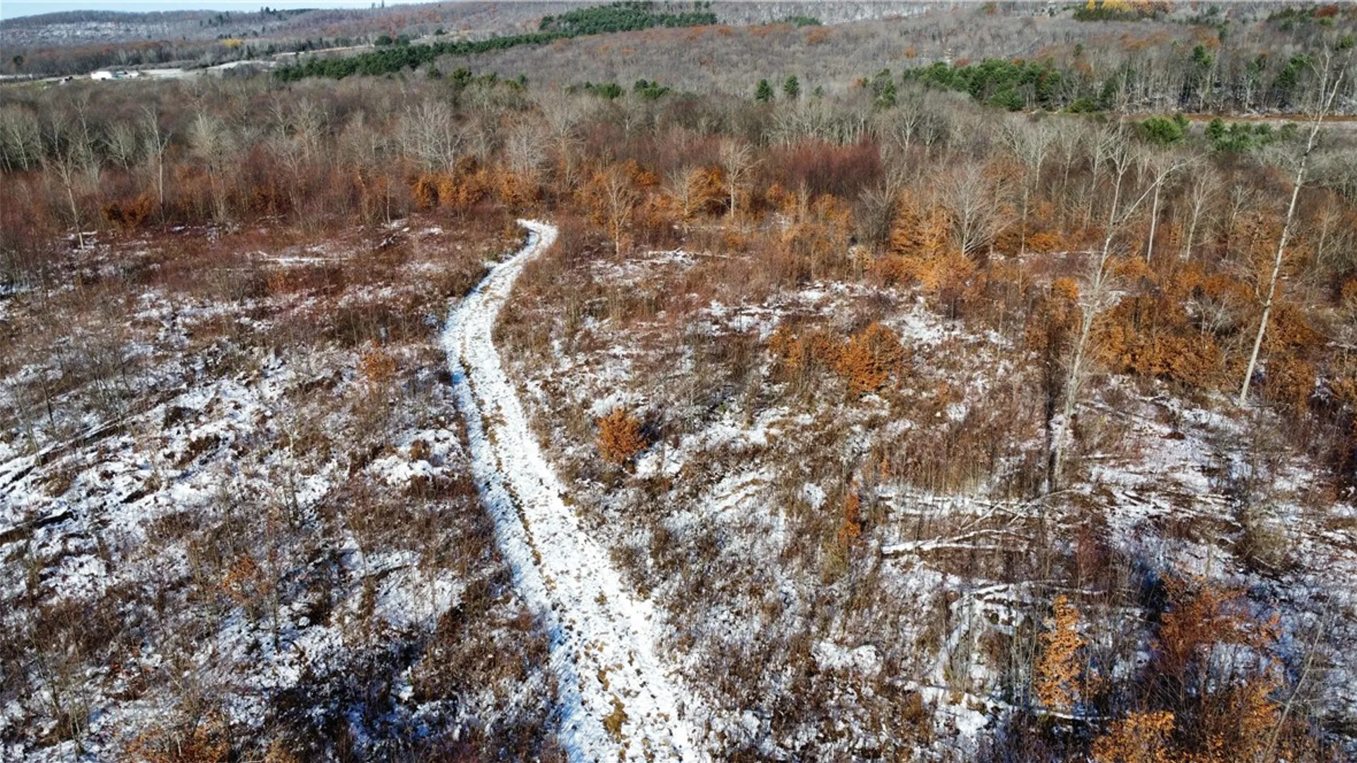 Property at 443 South Branch Rd, Hebron, PA 16915 7