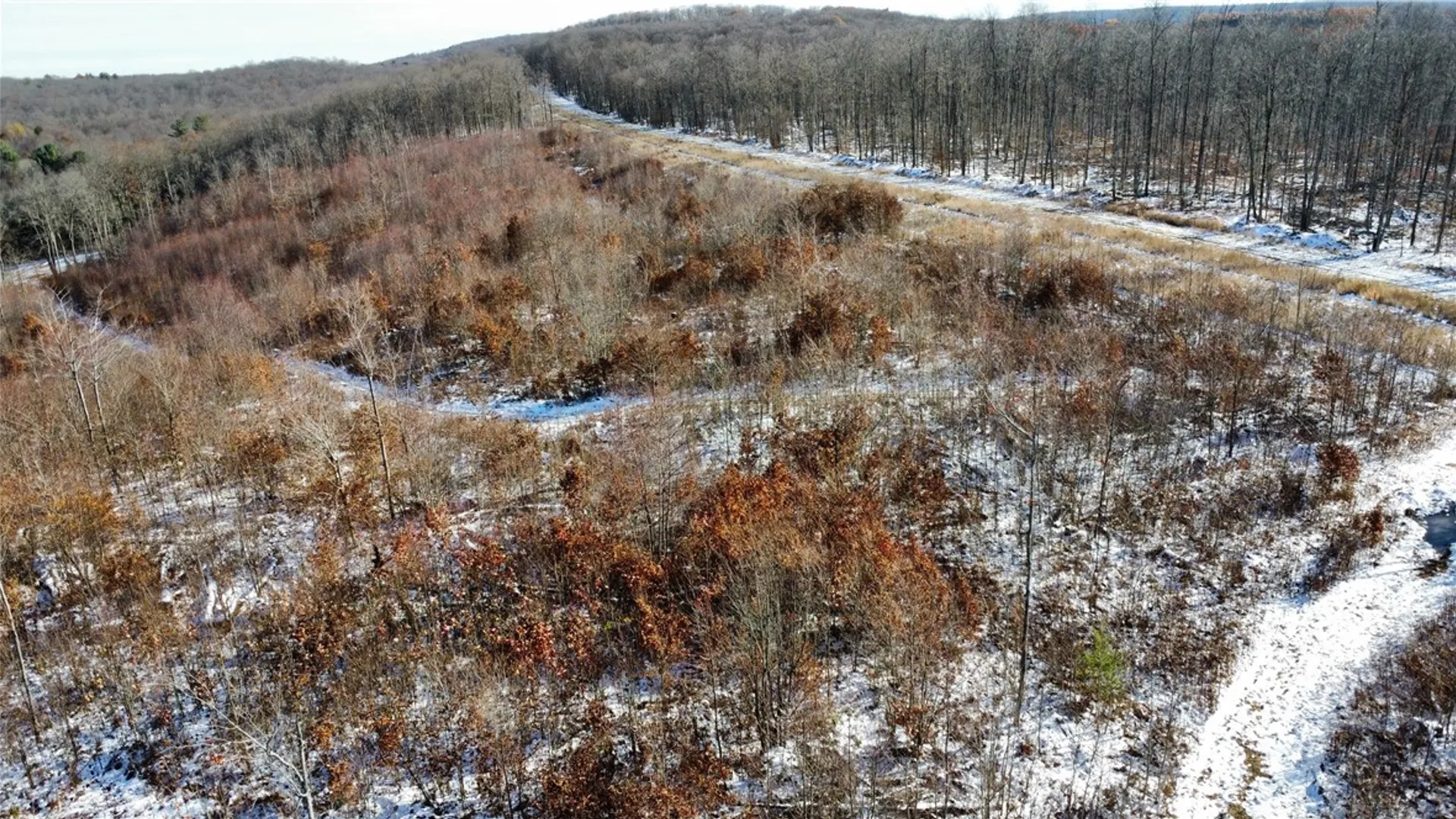 Property at 443 South Branch Rd, Hebron, PA 16915 8