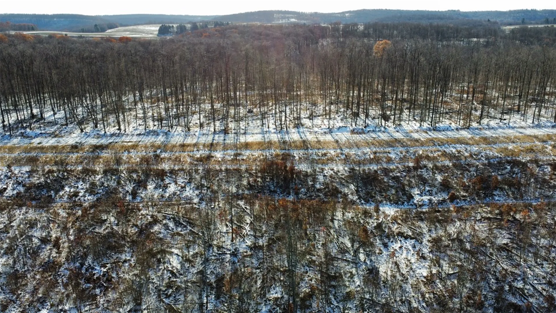 Property at 443 South Branch Rd, Hebron, PA 16915 9