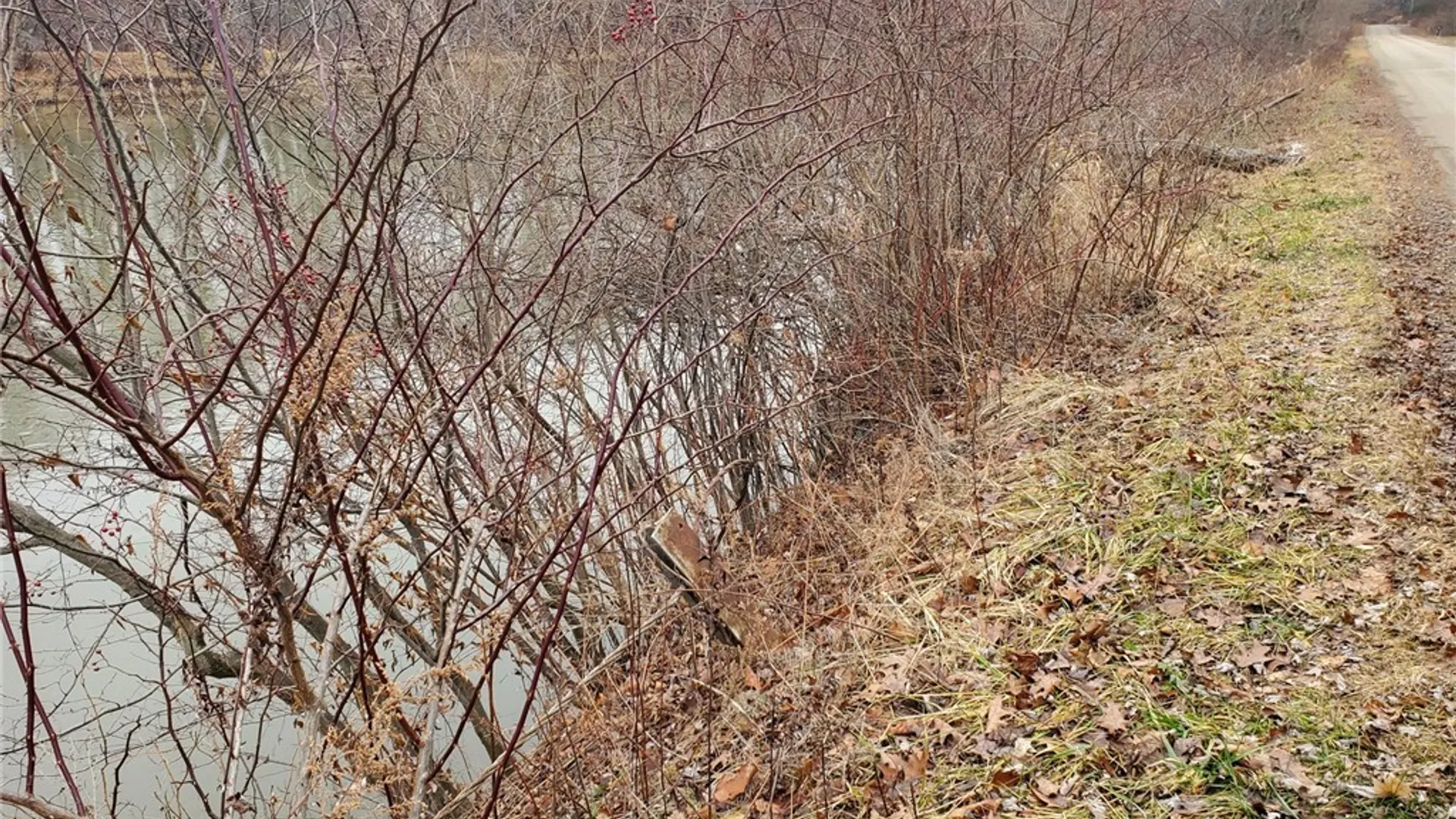 Property at 0 Steam Valley Road, Olean, NY 14760 20