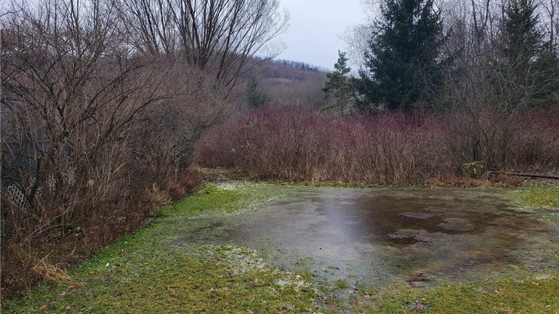 Property at 0 Steam Valley Road, Olean, NY 14760 6