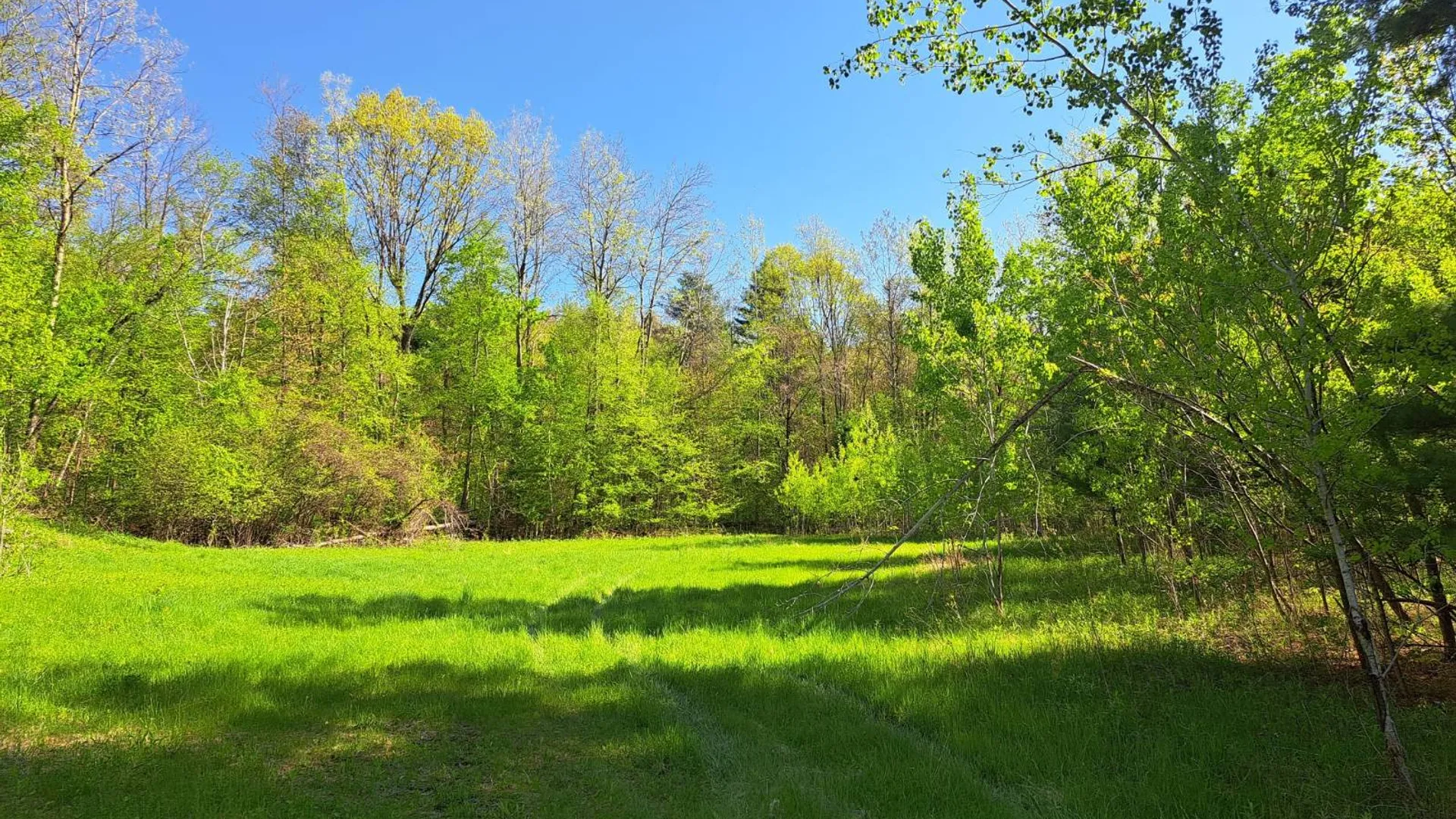 Property at 851 Bald Mountain Road, CR 77, Greenwich, NY 12834 14
