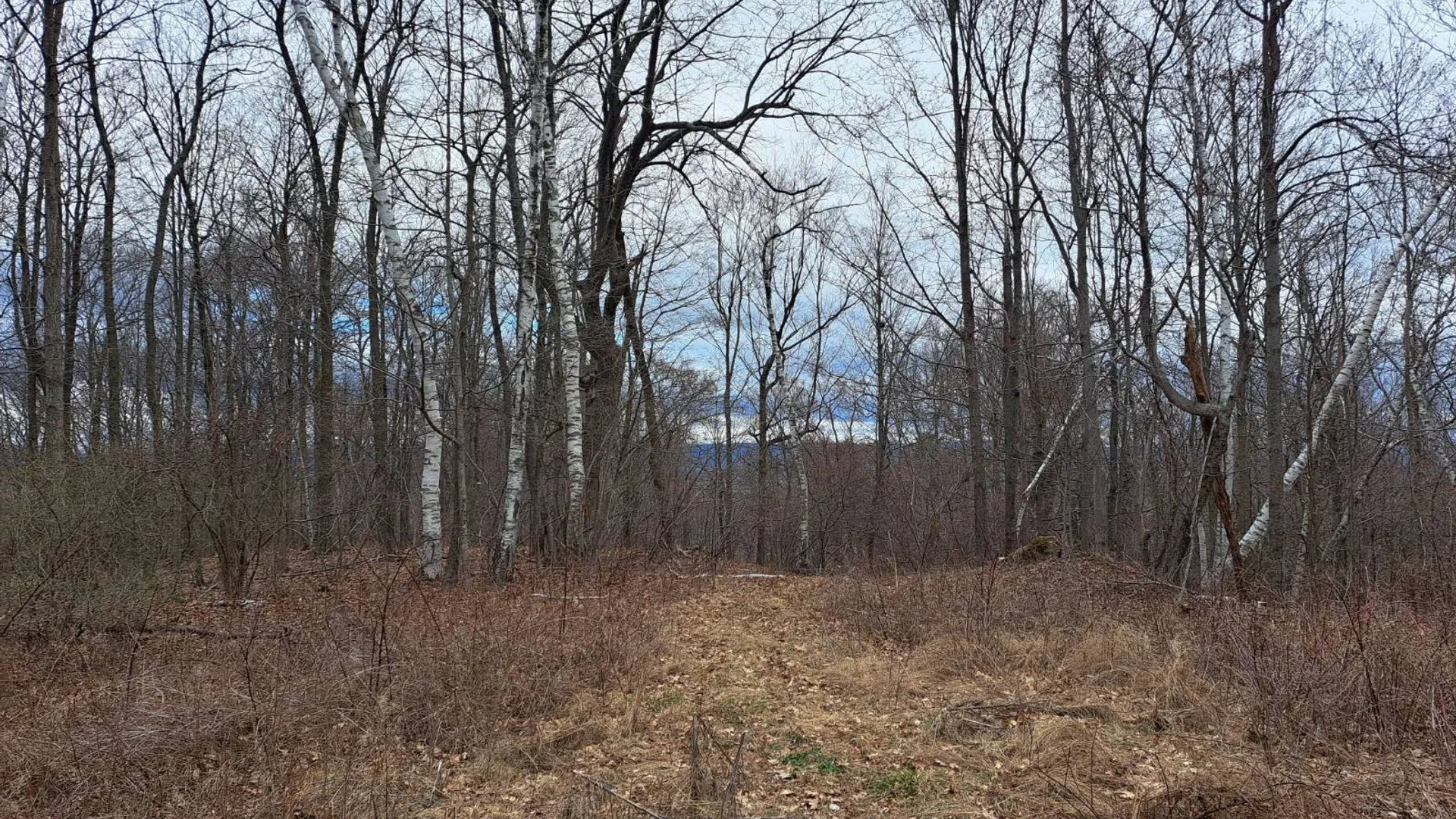 Property at 851 Bald Mountain Road, CR 77, Greenwich, NY 12834 17