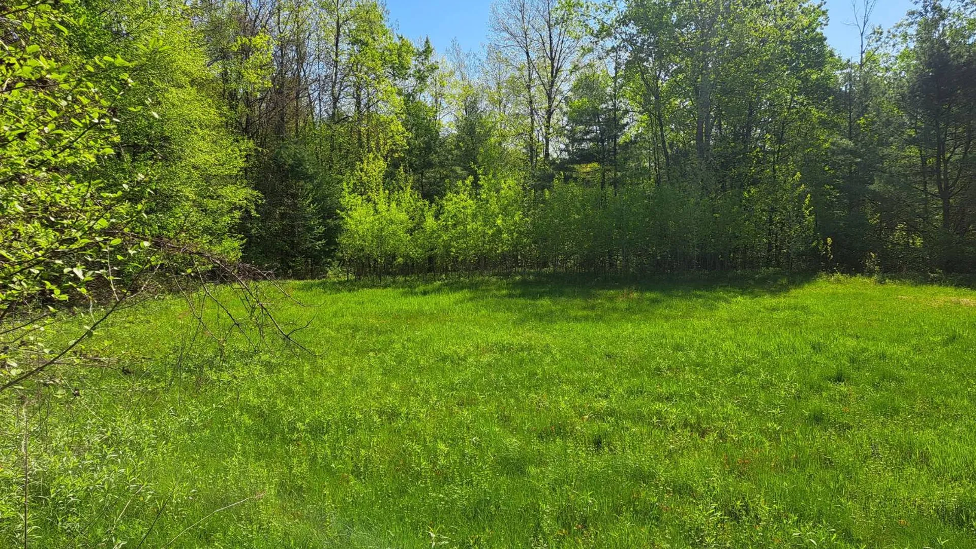Property at 851 Bald Mountain Road, CR 77, Greenwich, NY 12834 41