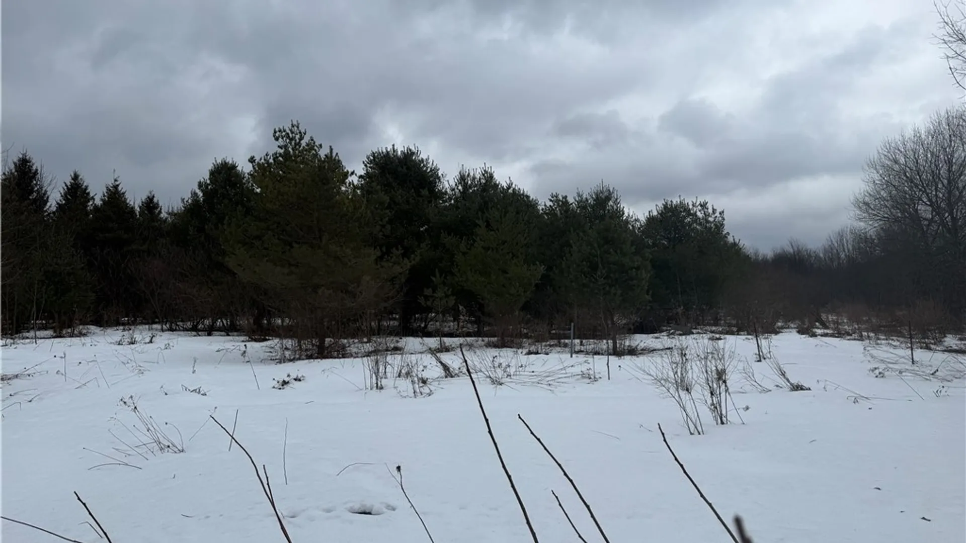 Property at 6616 Bennett Road, Franklinville, NY 14737 10