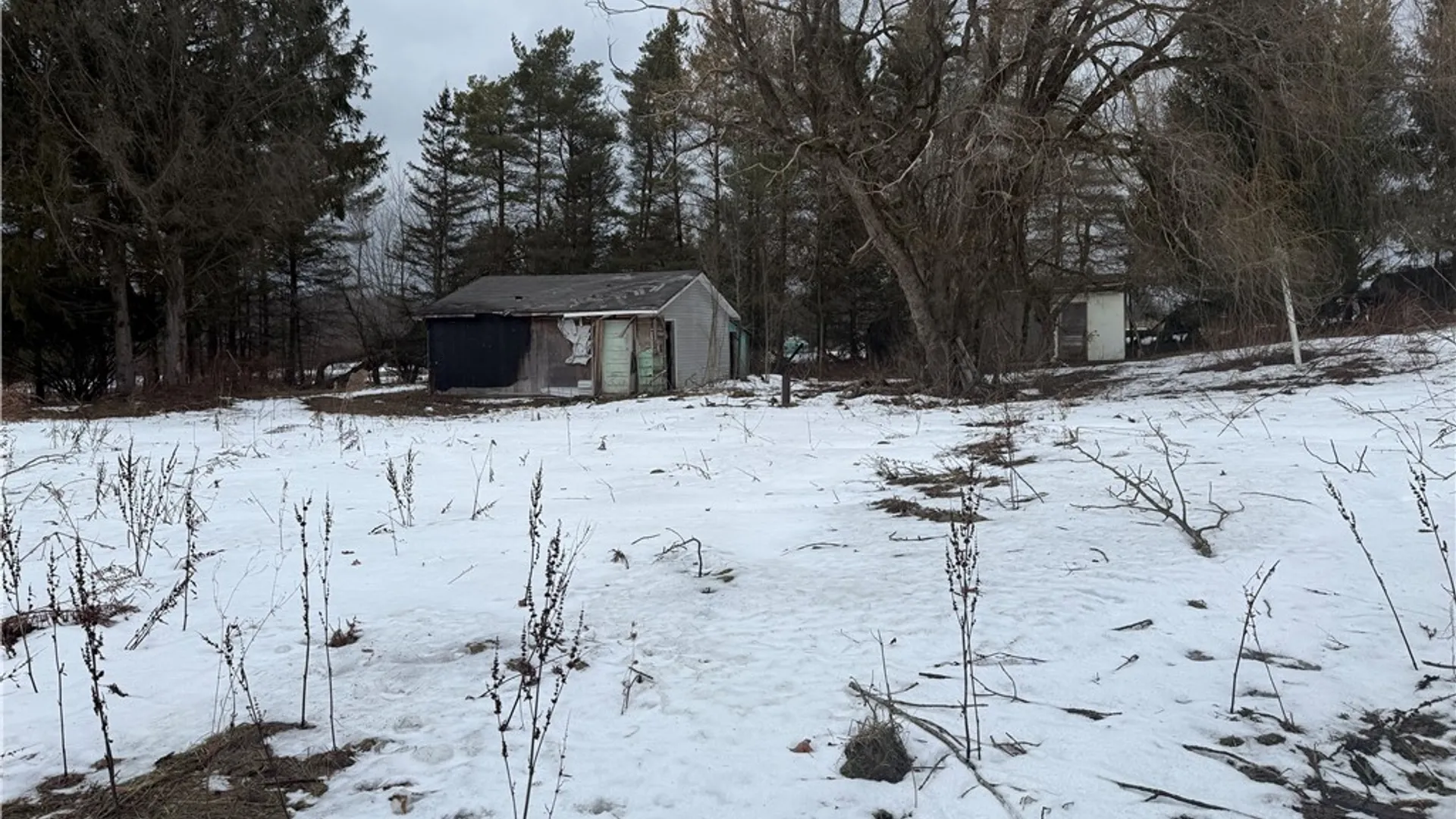 Property at 6616 Bennett Road, Franklinville, NY 14737 11