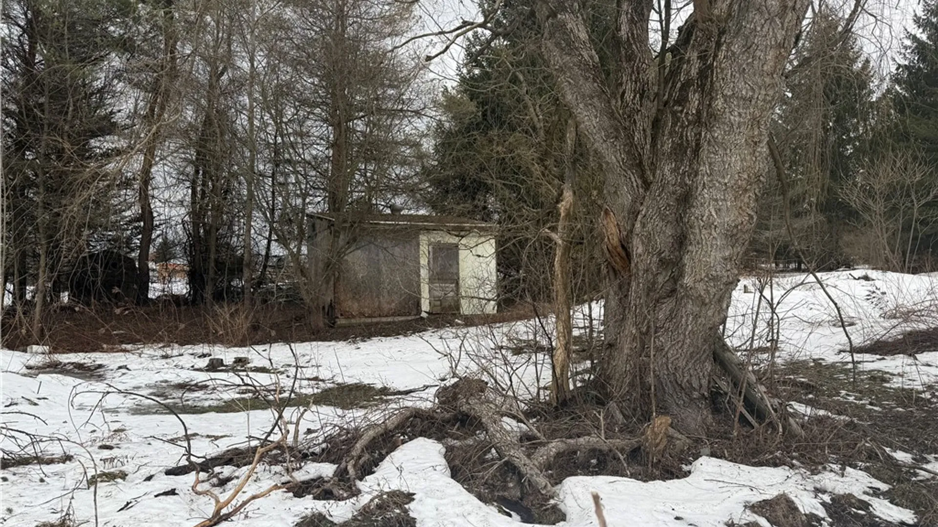 Property at 6616 Bennett Road, Franklinville, NY 14737 12