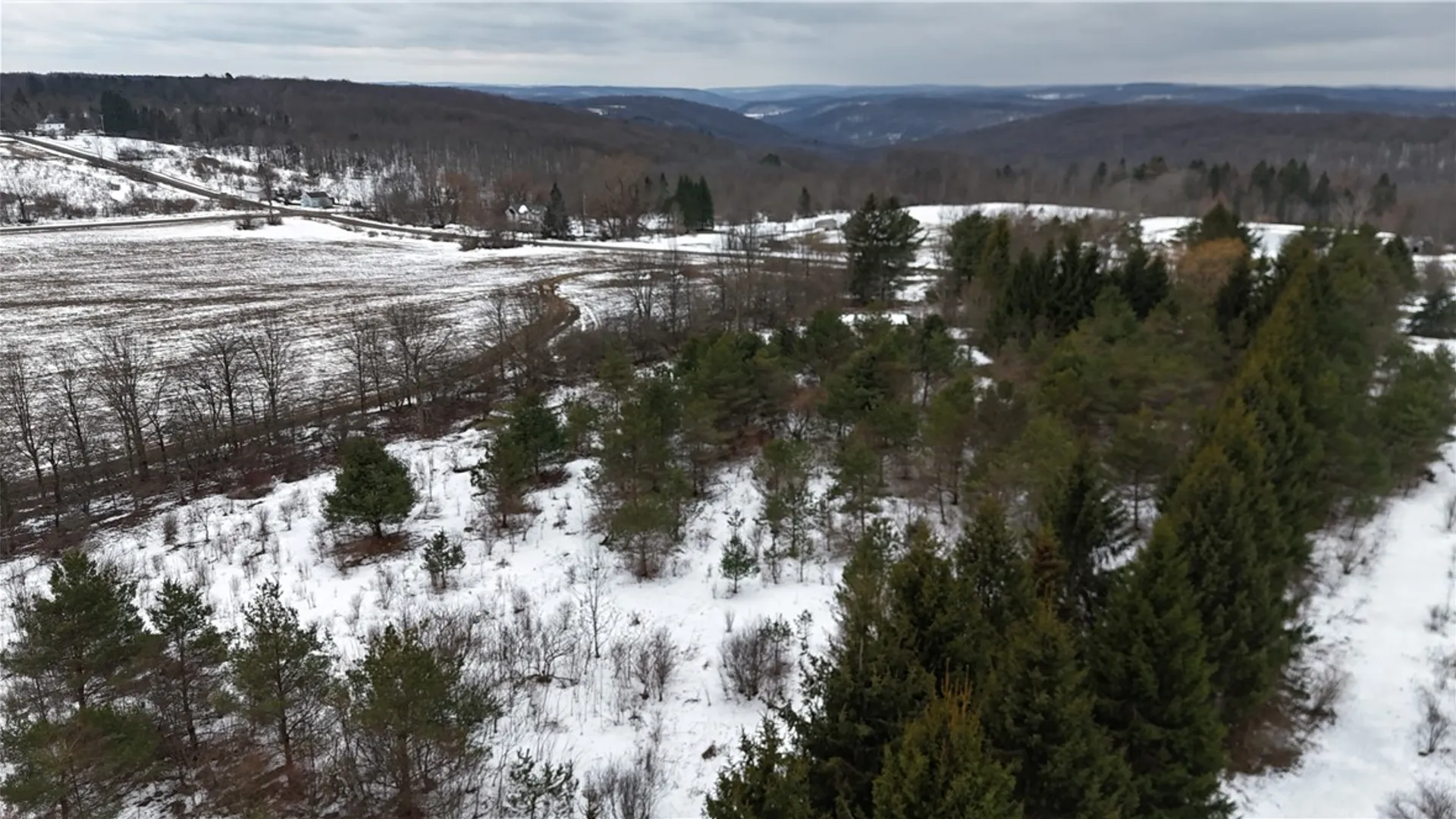 Property at 6616 Bennett Road, Franklinville, NY 14737 15