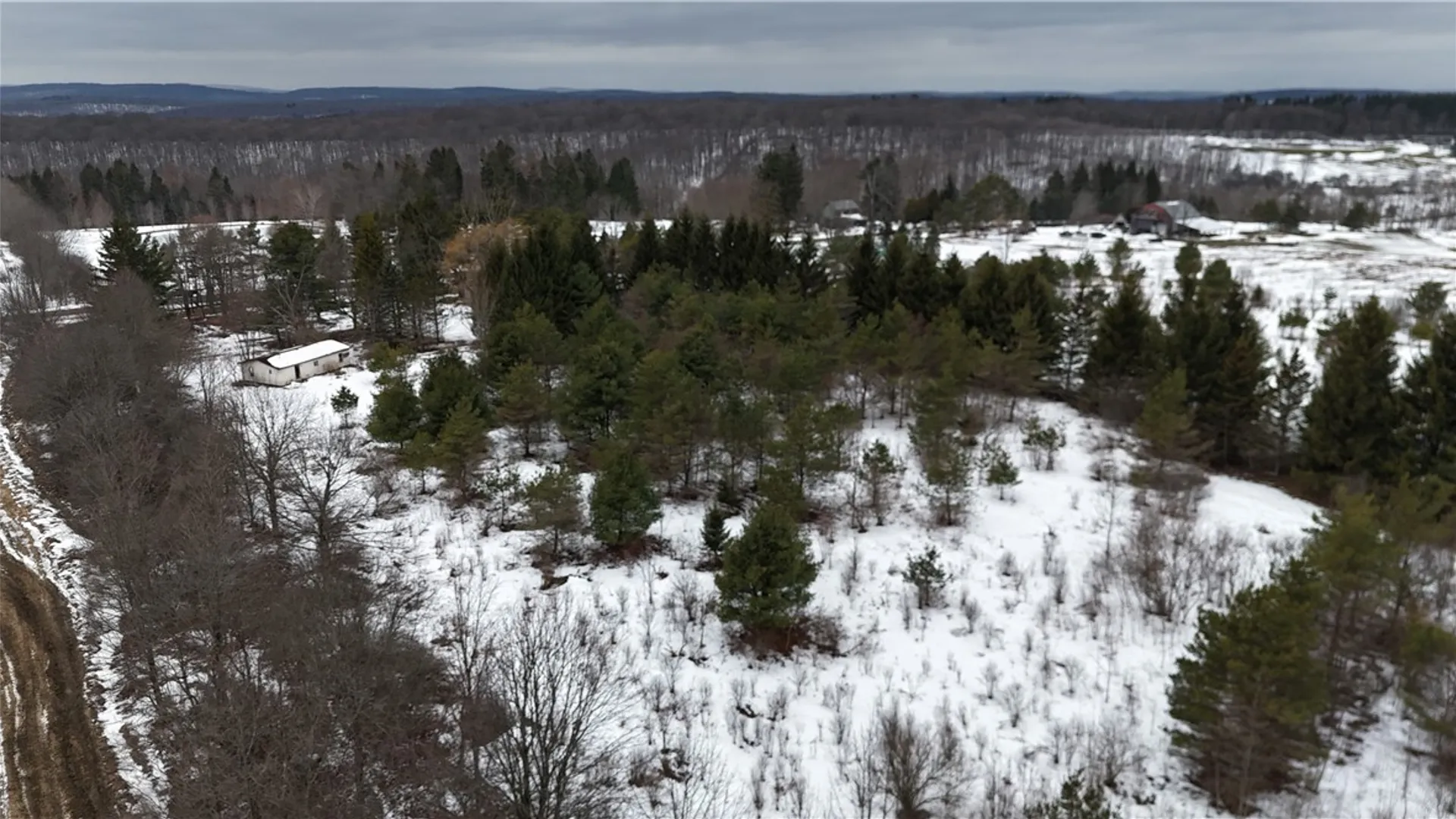 Property at 6616 Bennett Road, Franklinville, NY 14737 16