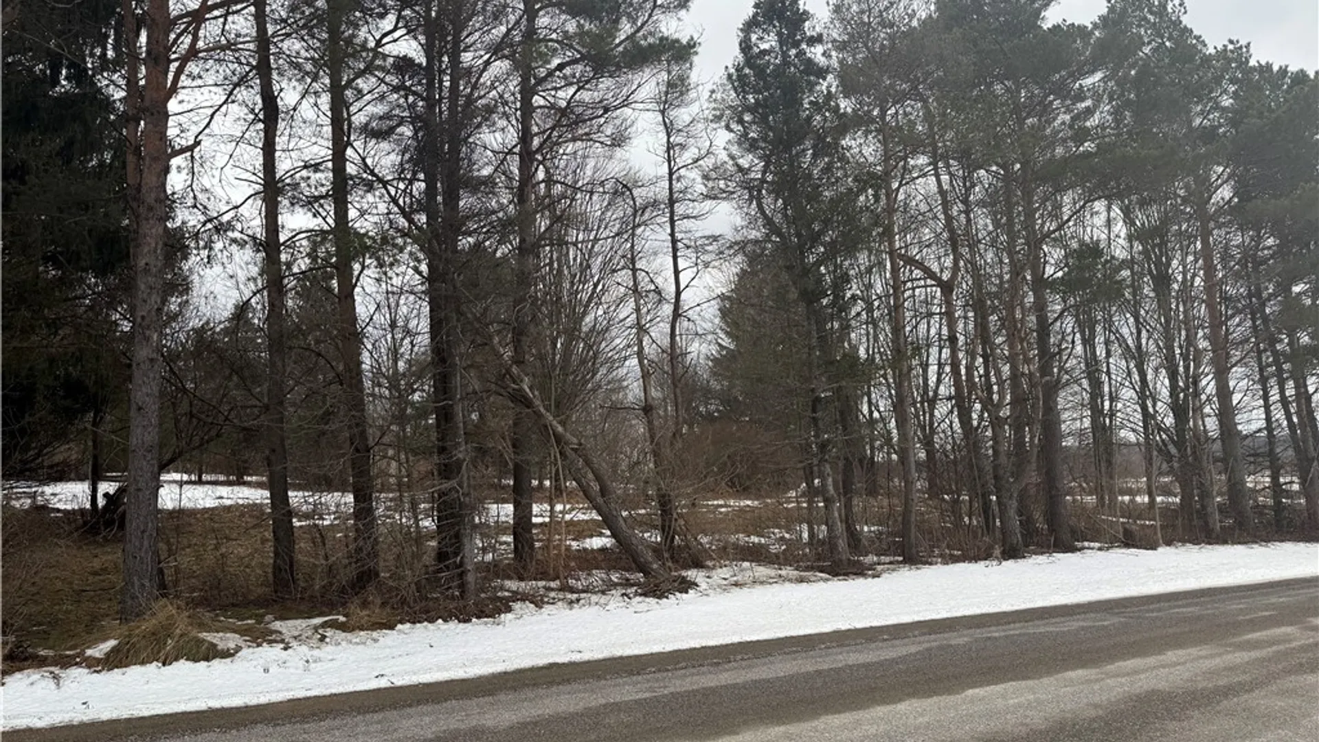 Property at 6616 Bennett Road, Franklinville, NY 14737 17