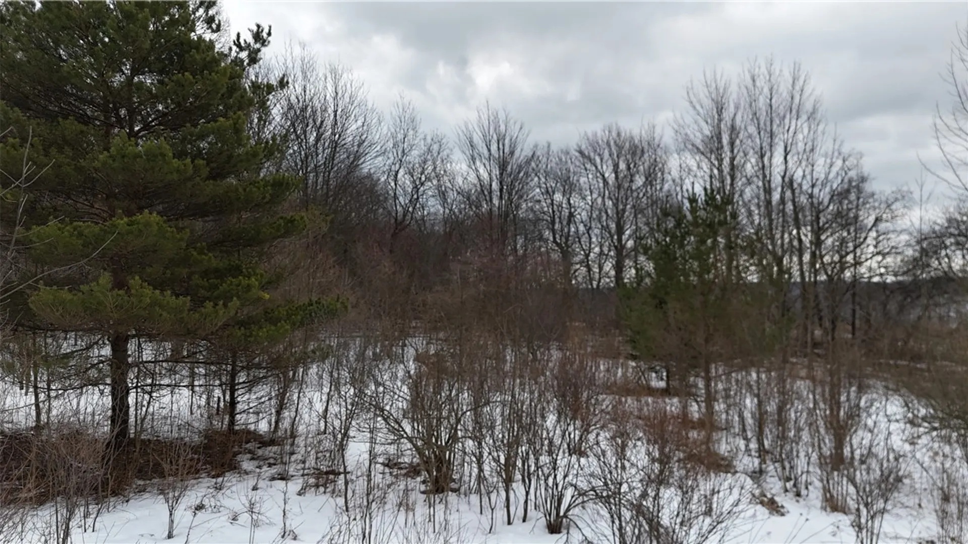 Property at 6616 Bennett Road, Franklinville, NY 14737 8
