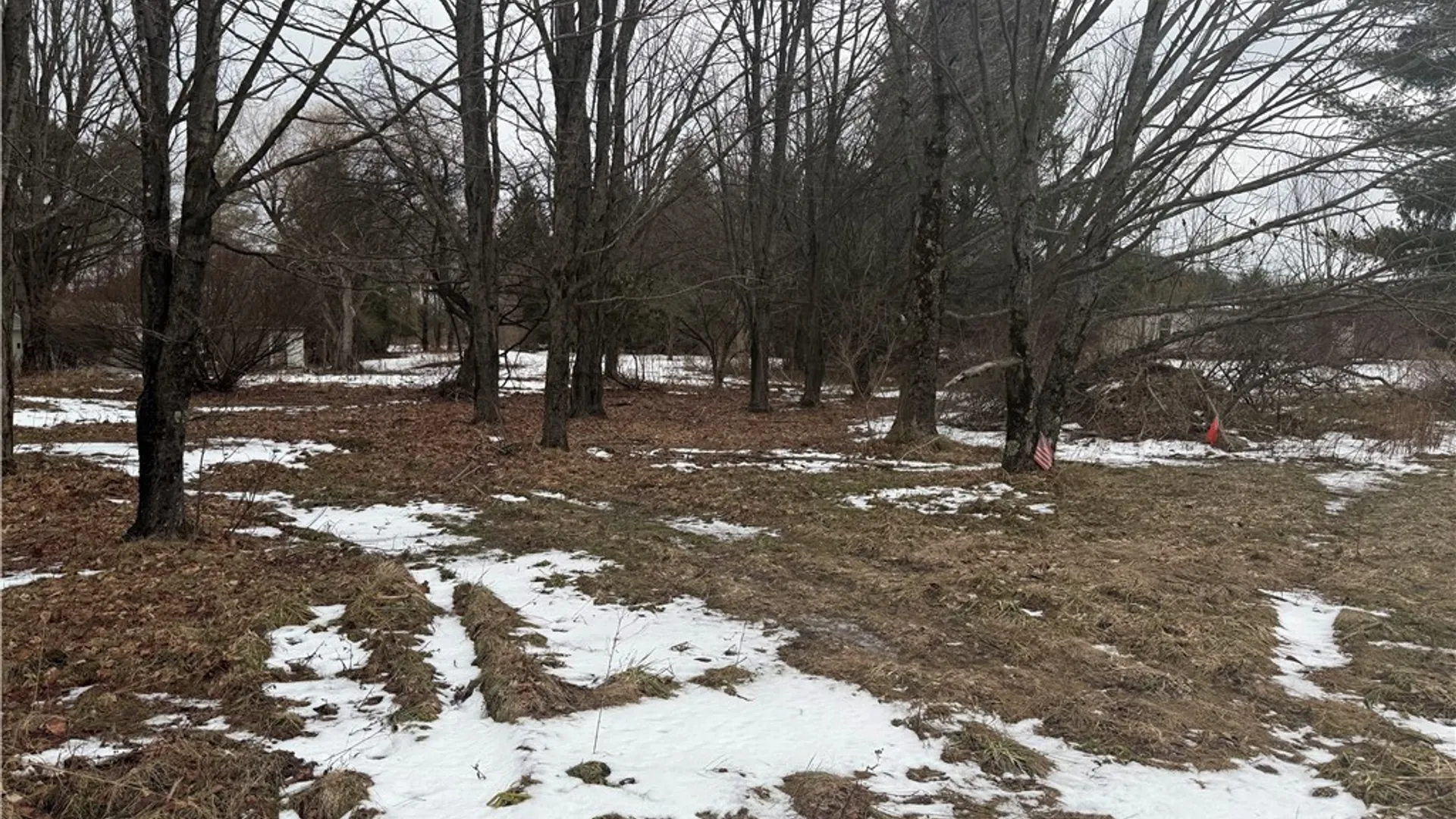 Property at 6616 Bennett Road, Franklinville, NY 14737 9