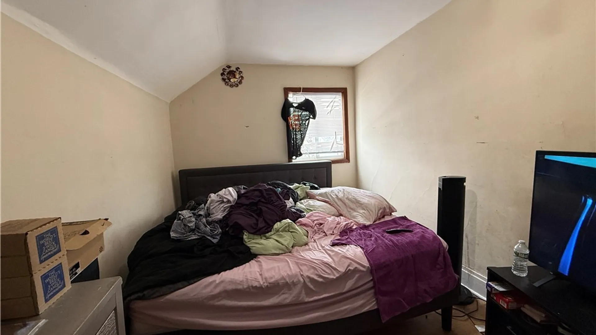 Property at 445 Shirley Avenue, Buffalo, NY 14215 12