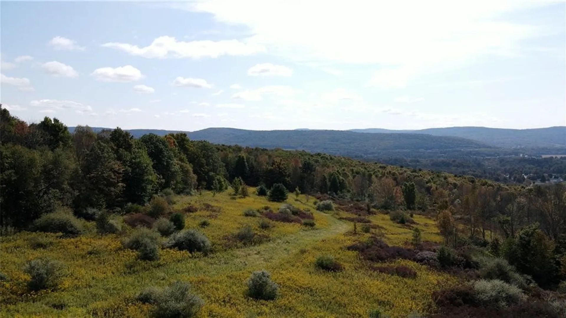 Property at Sisson Hill Road, Unadilla, NY 13849 2