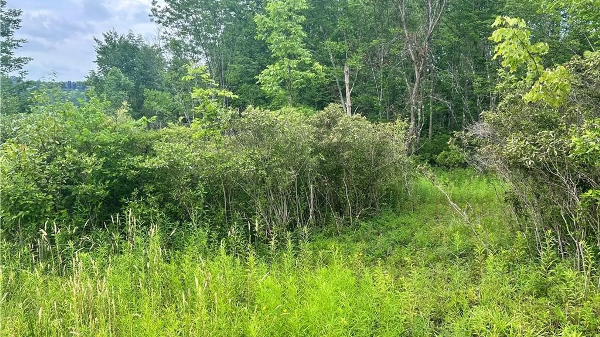 Property at Sisson Hill Road, Unadilla, NY 13849 7