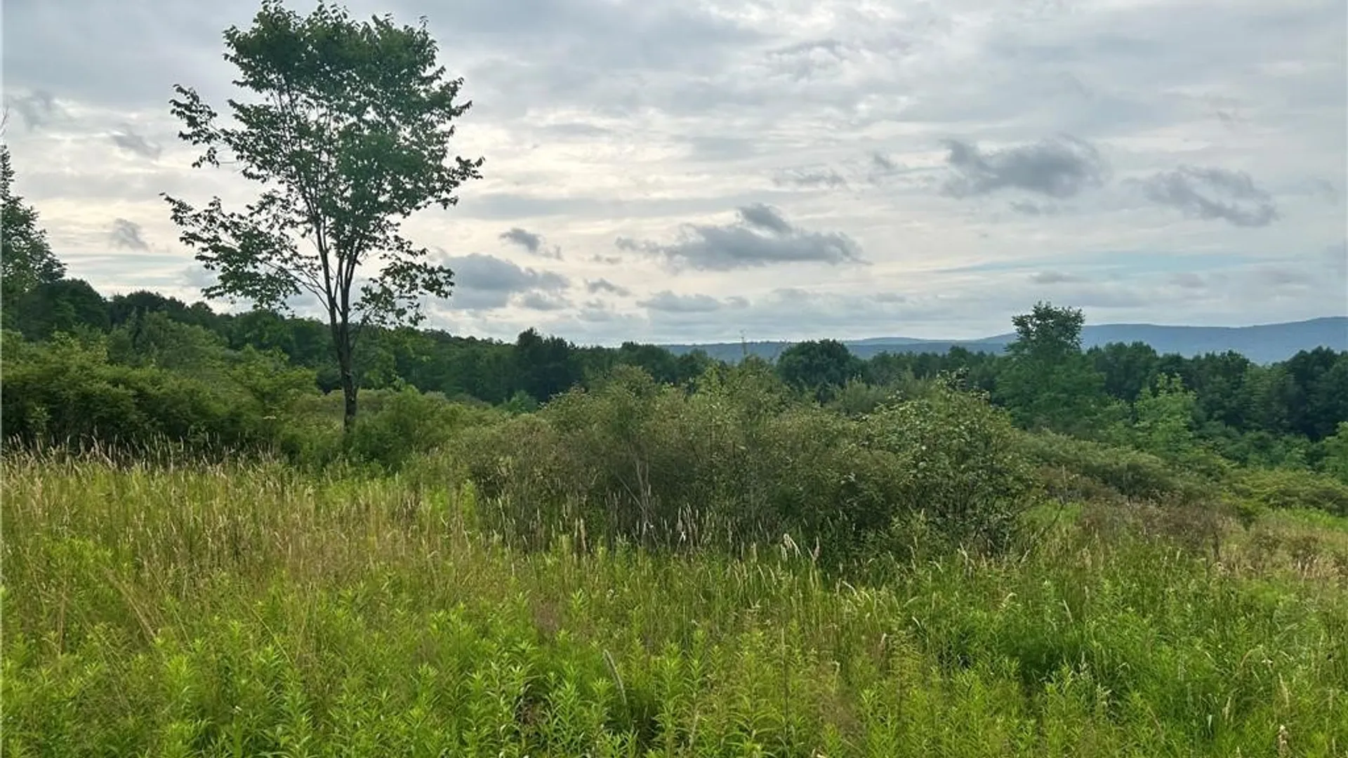 Property at Sisson Hill Road, Unadilla, NY 13849 8